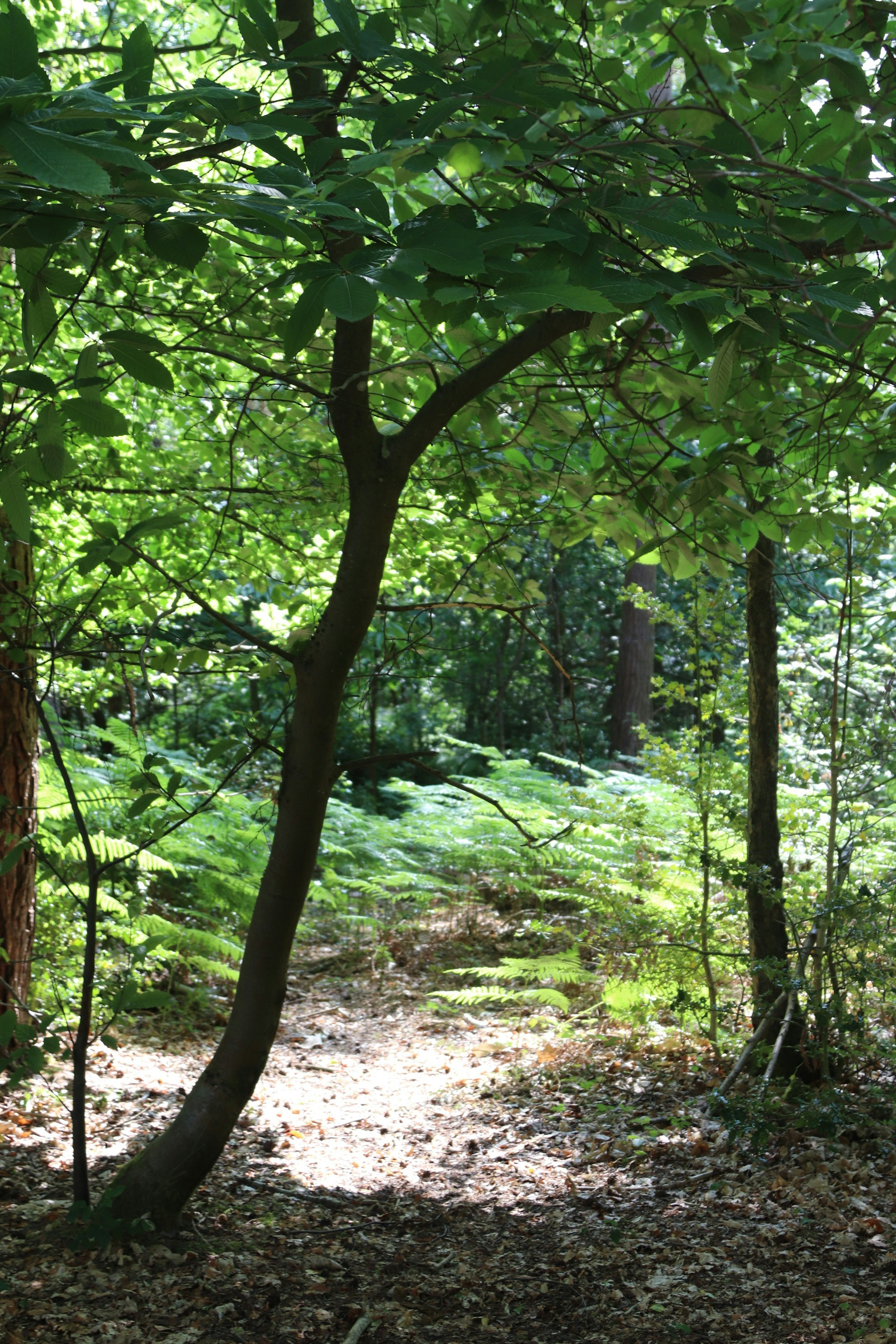 Photo by tanyabarrow