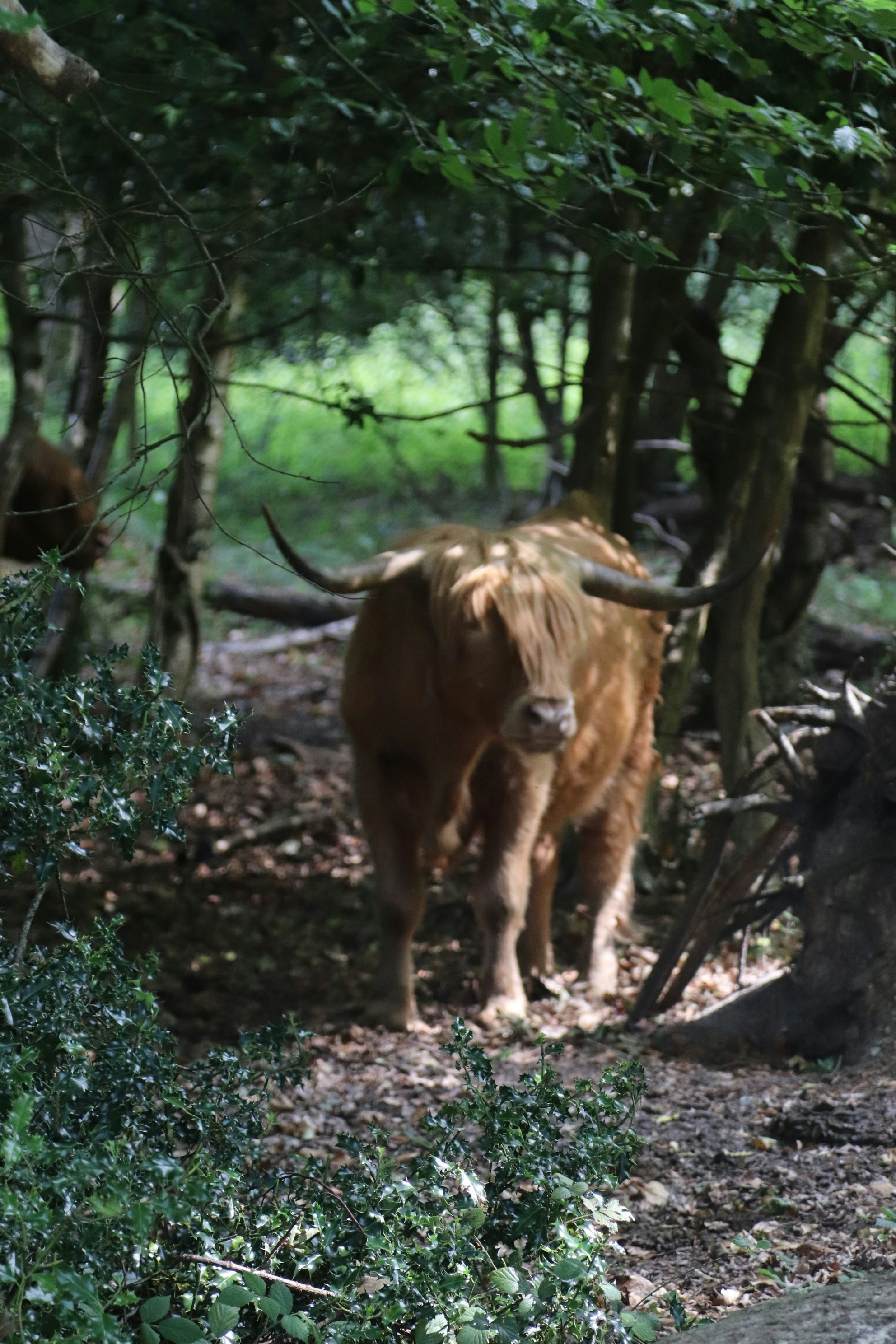 Photo by tanyabarrow