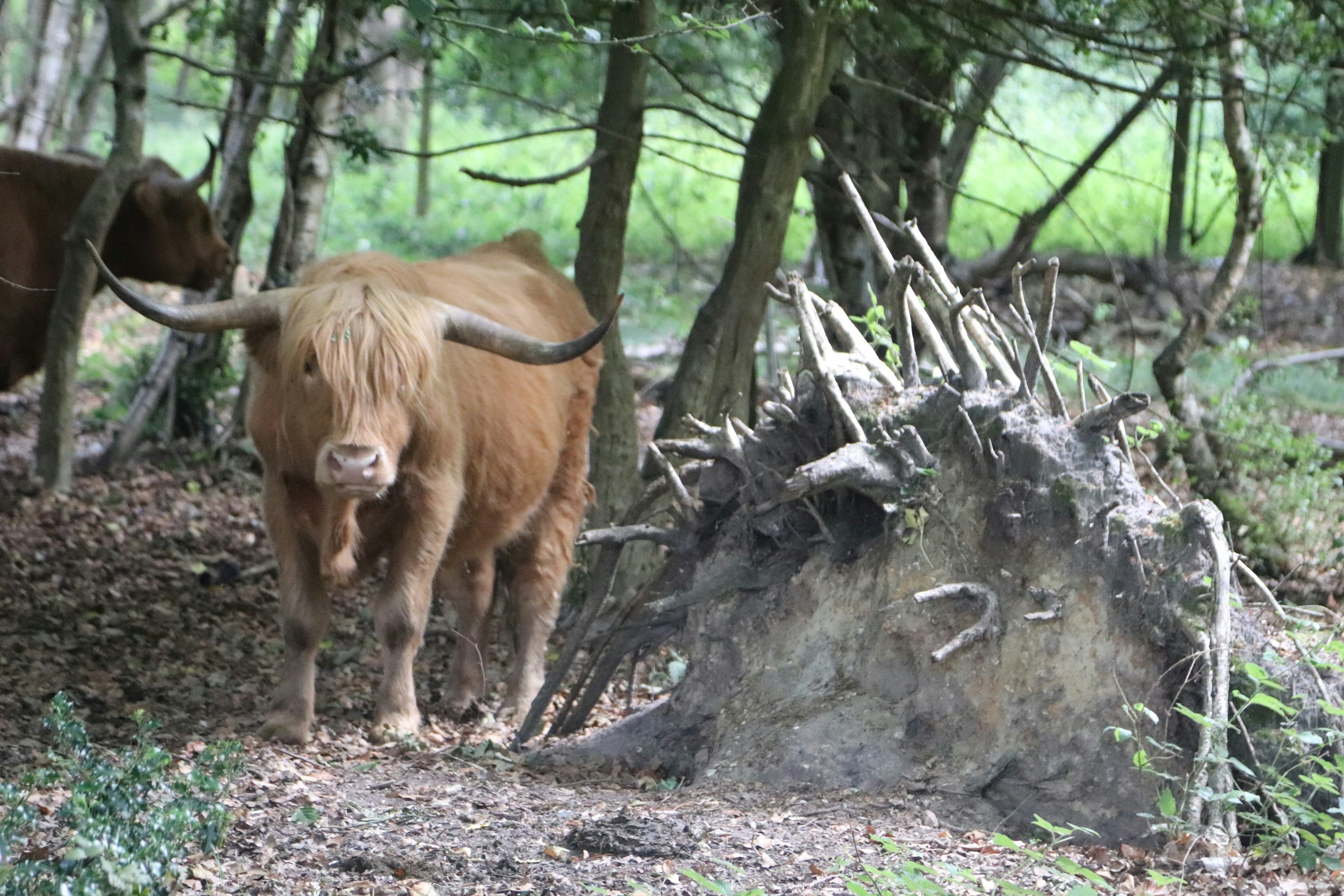 Photo by tanyabarrow