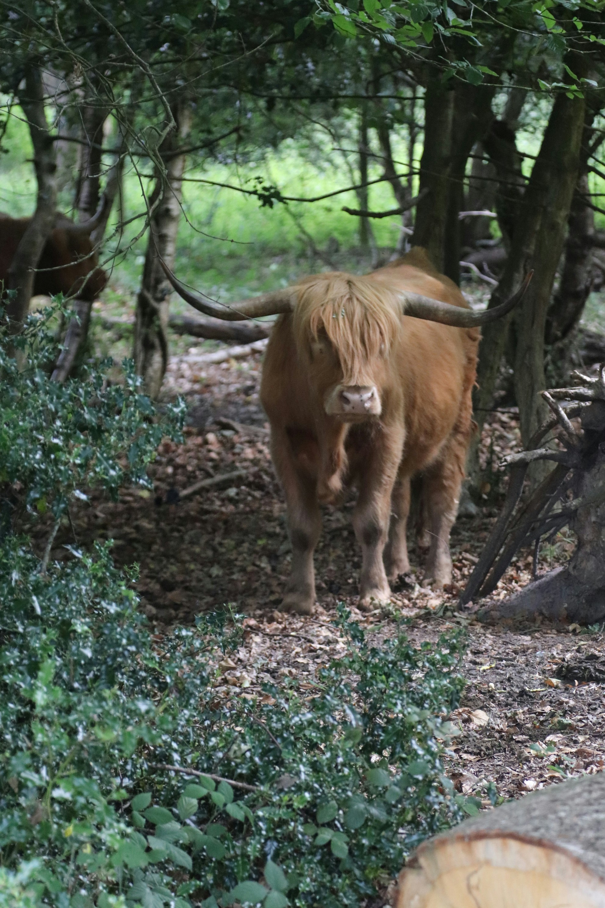 Photo by tanyabarrow