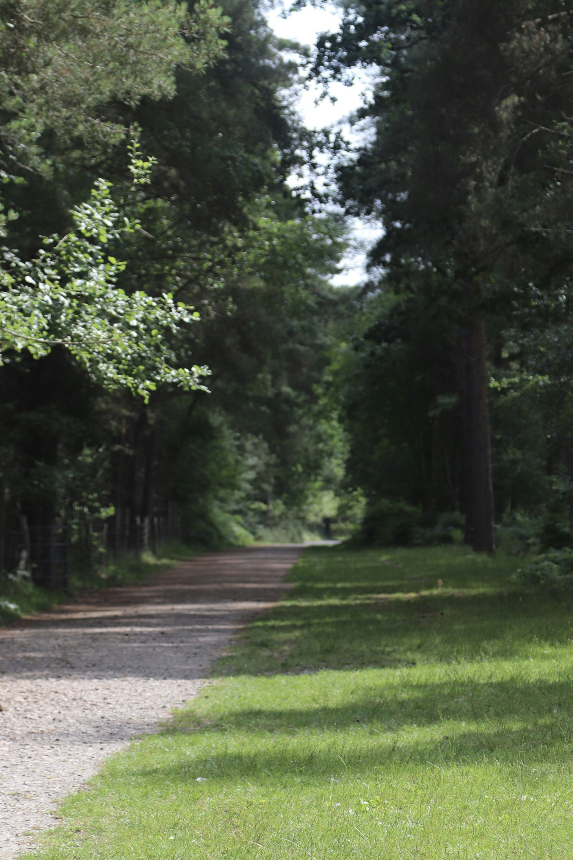 Photo by tanyabarrow