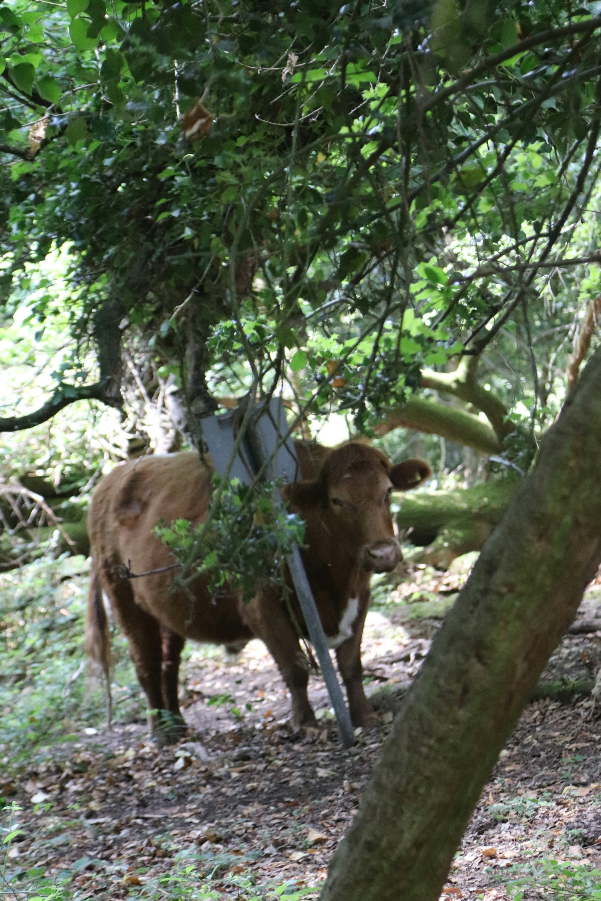 Photo by tanyabarrow