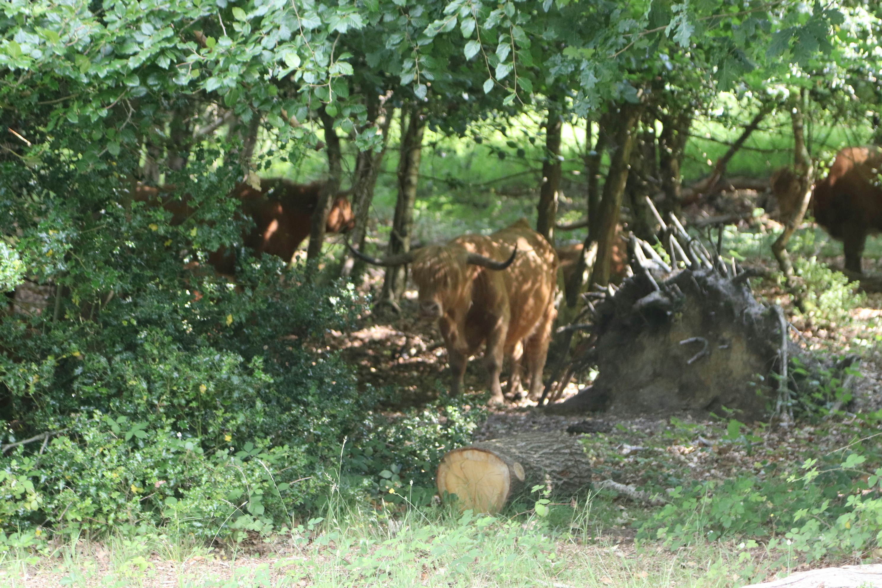 Photo by tanyabarrow