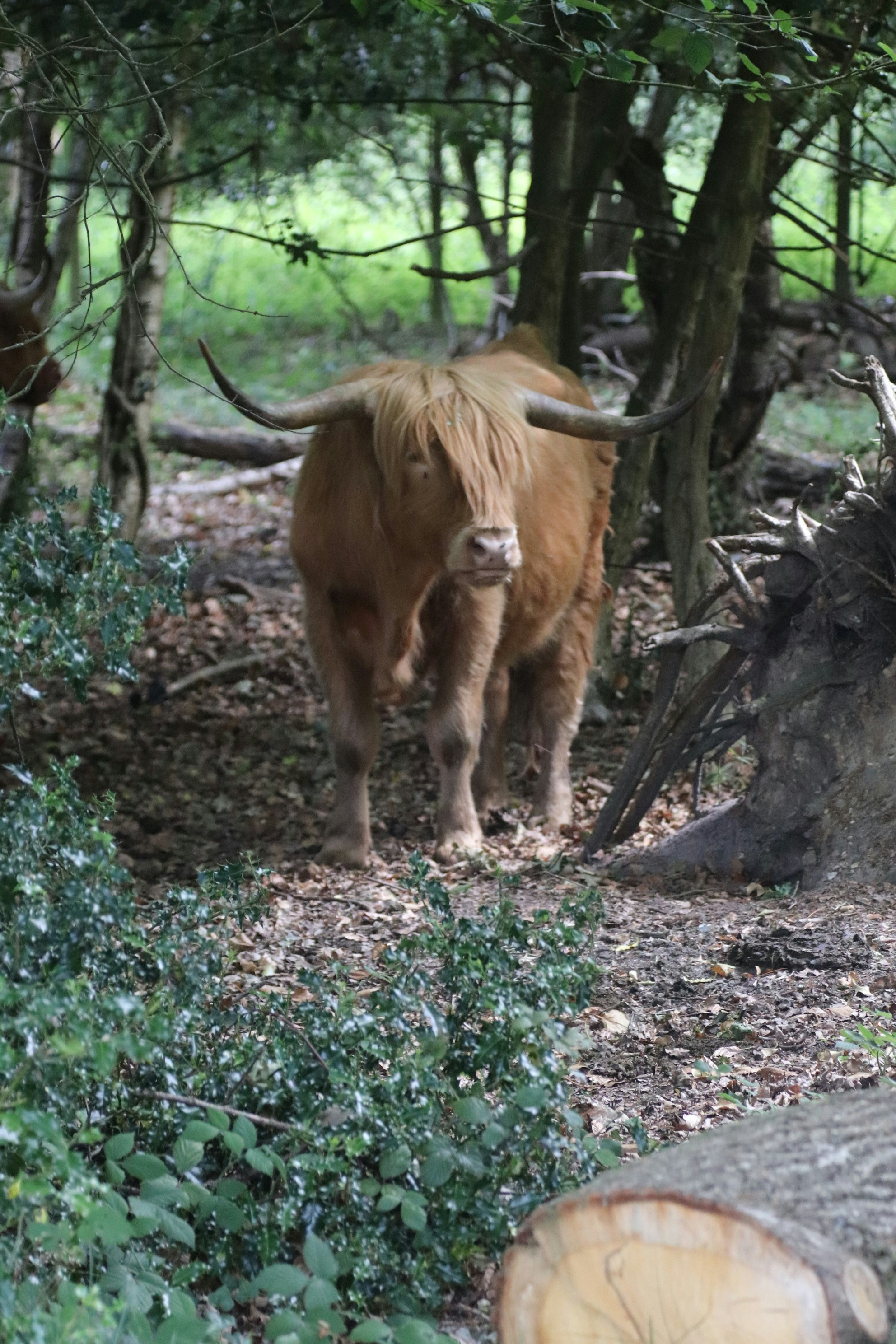 Photo by tanyabarrow