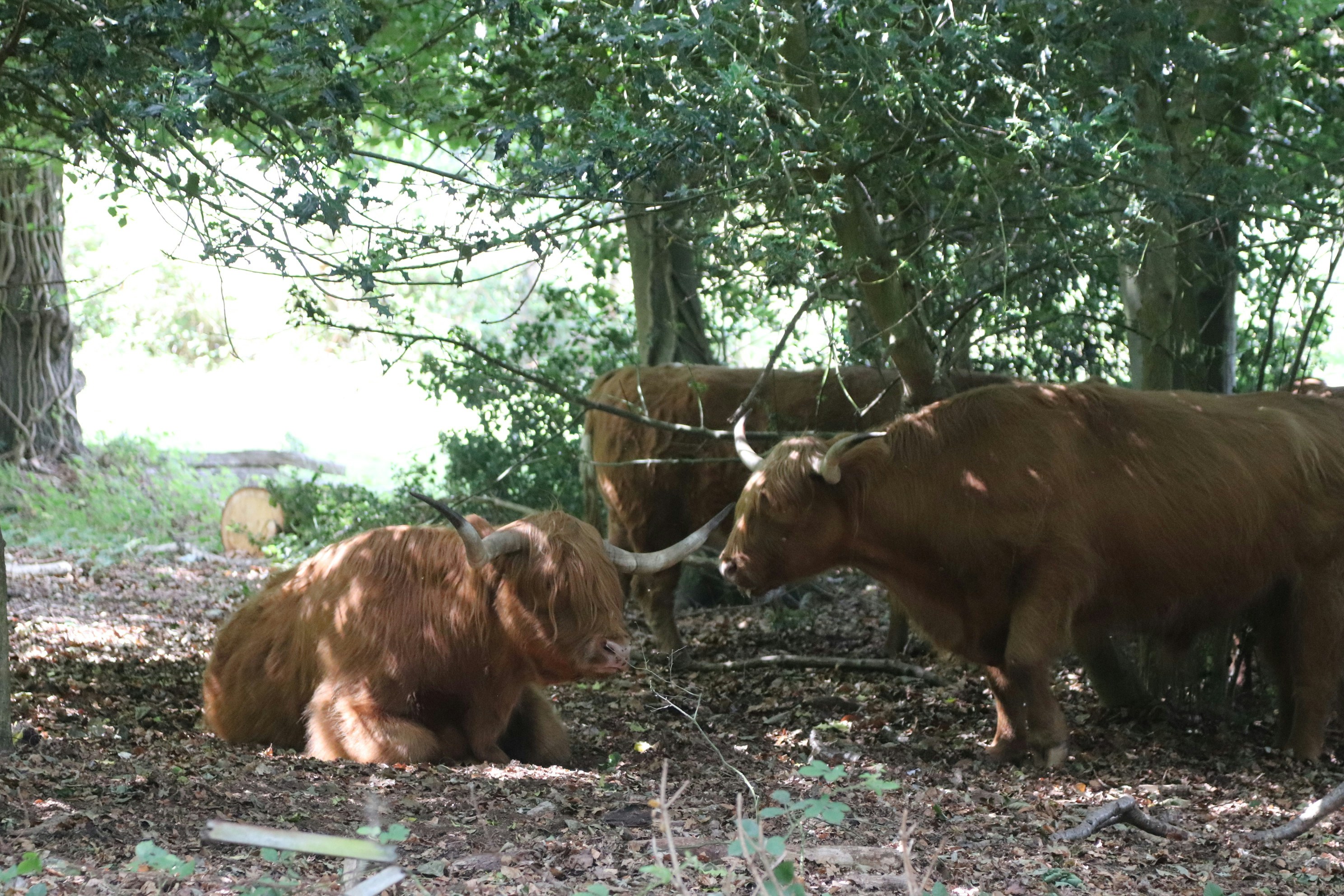 Photo by tanyabarrow