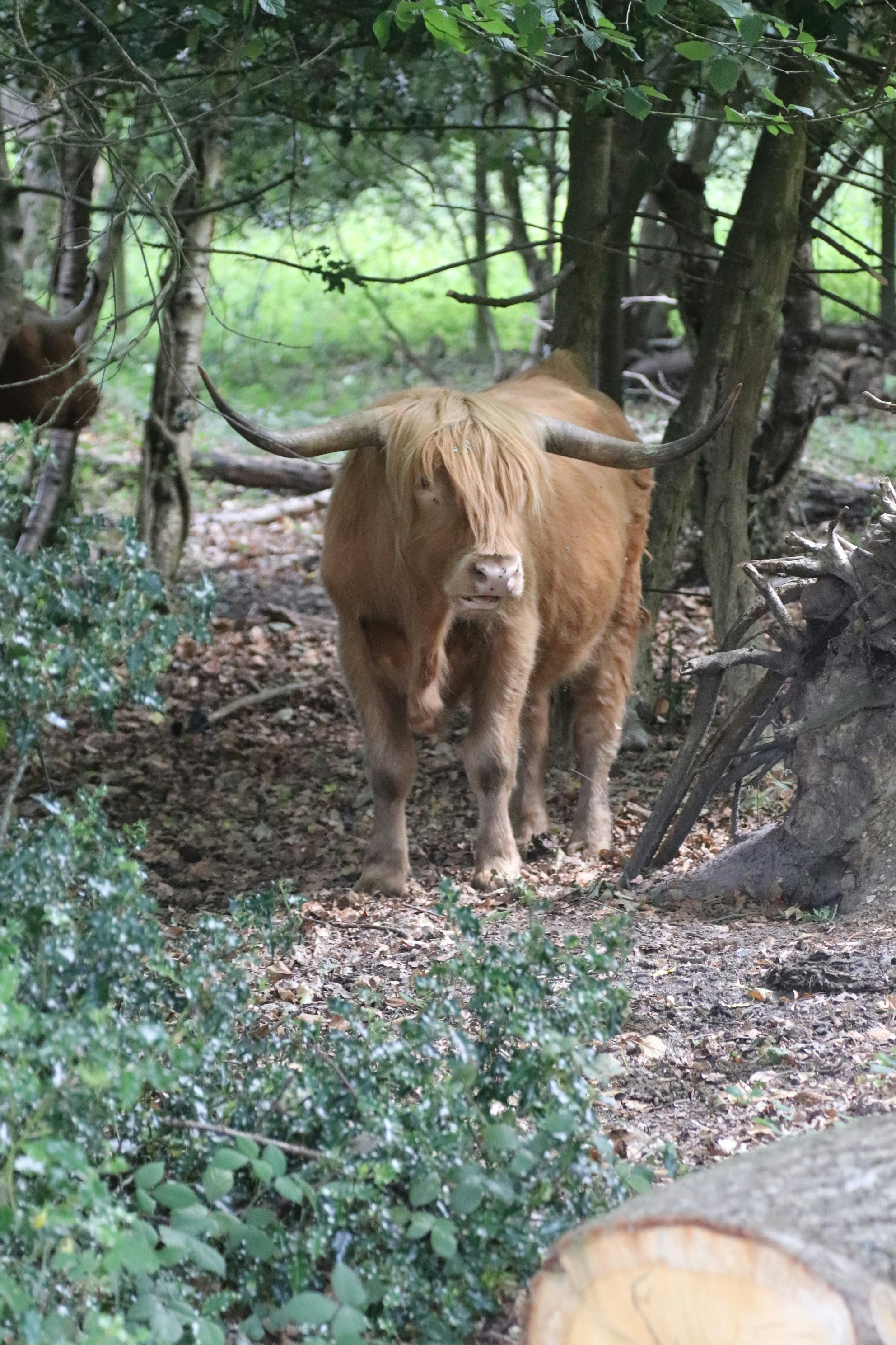 Photo by tanyabarrow