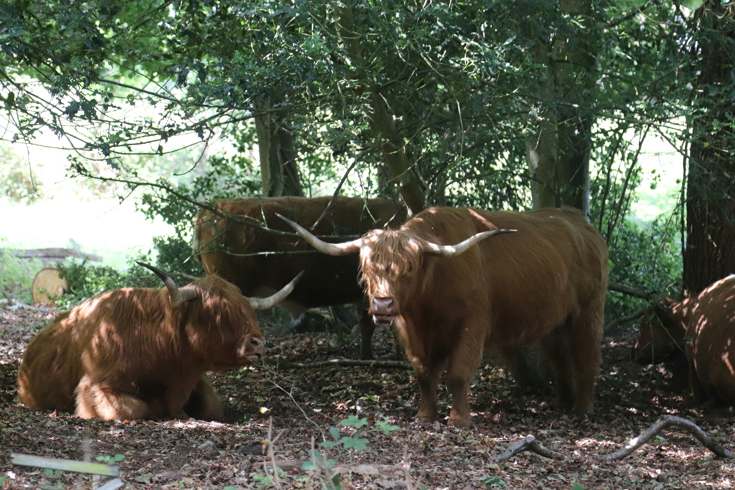 Photo by tanyabarrow