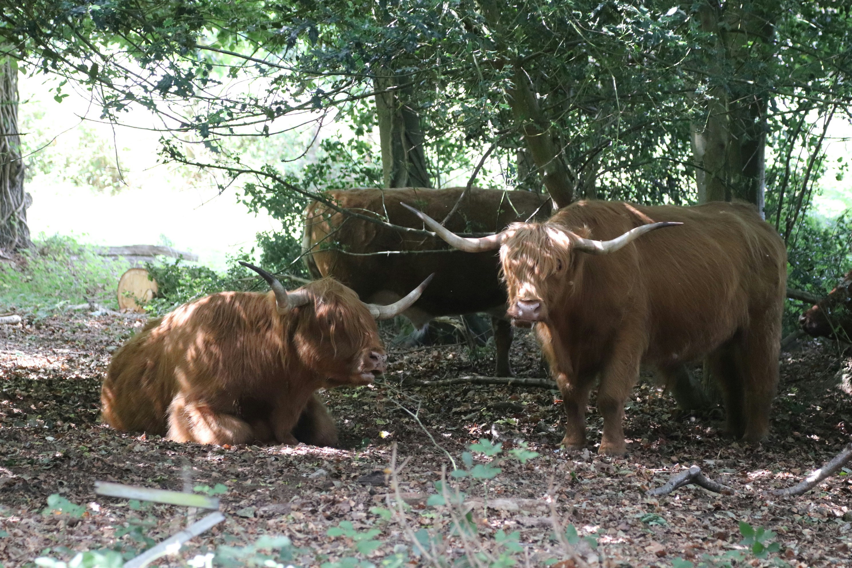 Photo by tanyabarrow