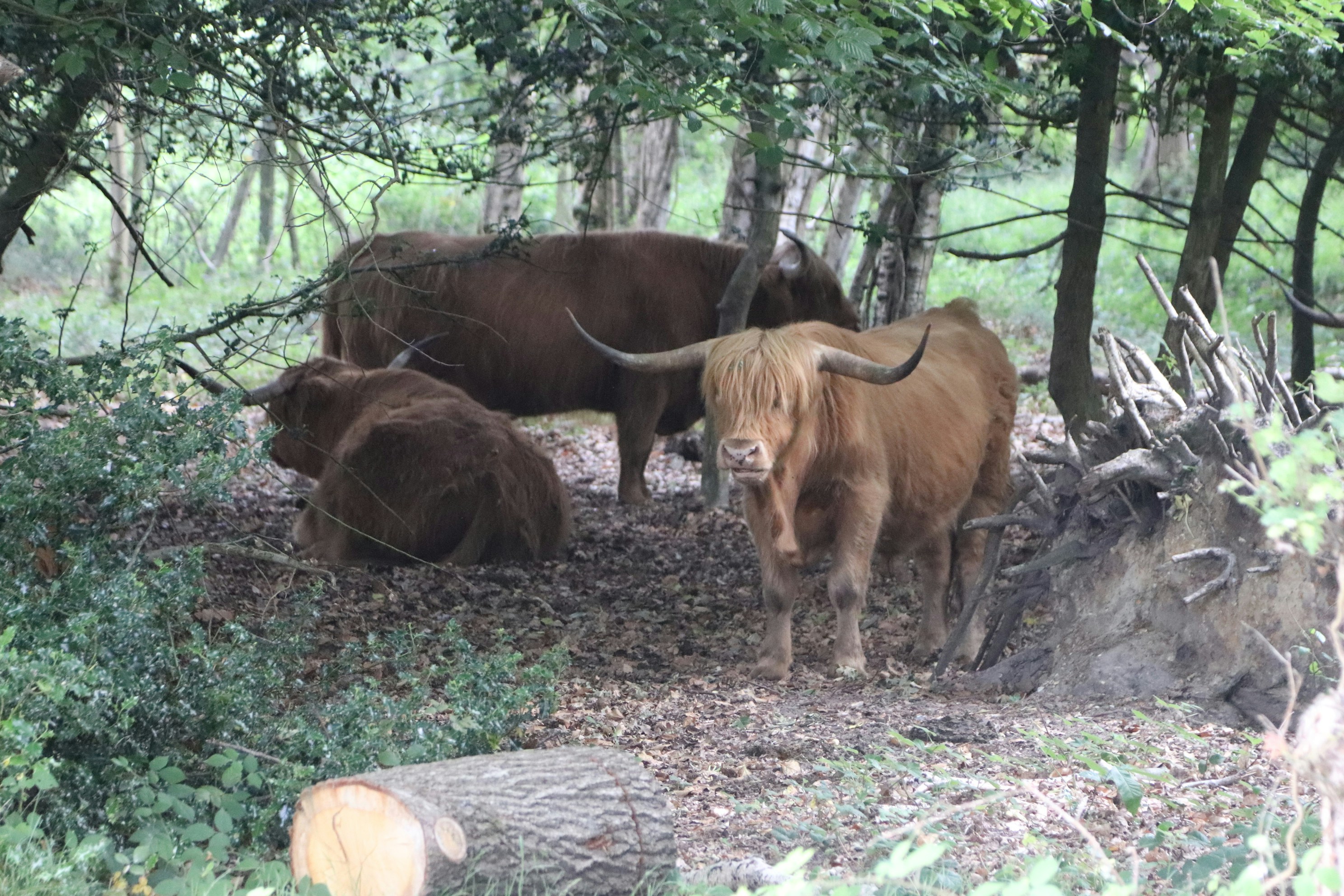 Photo by tanyabarrow