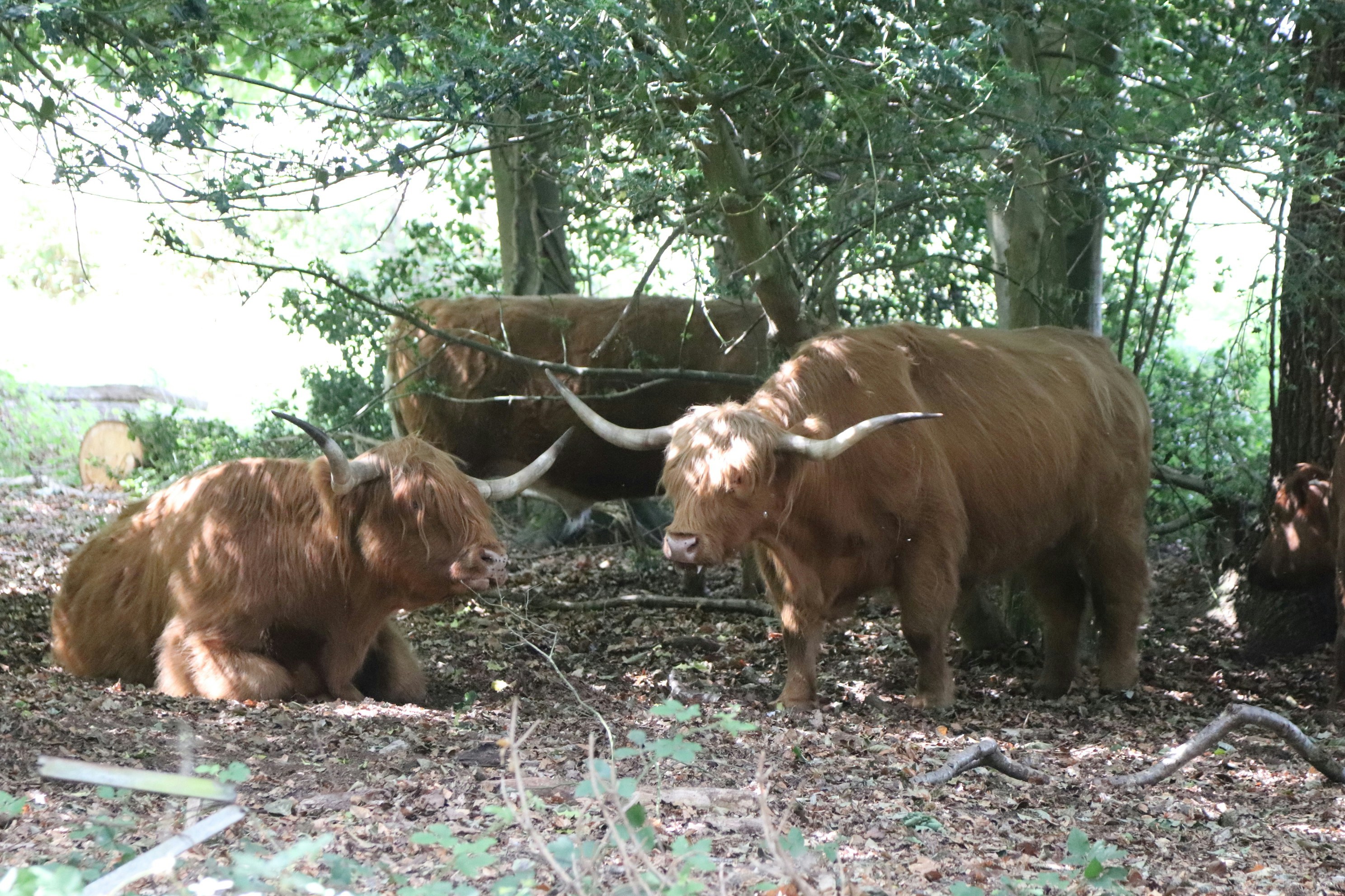 Photo by tanyabarrow