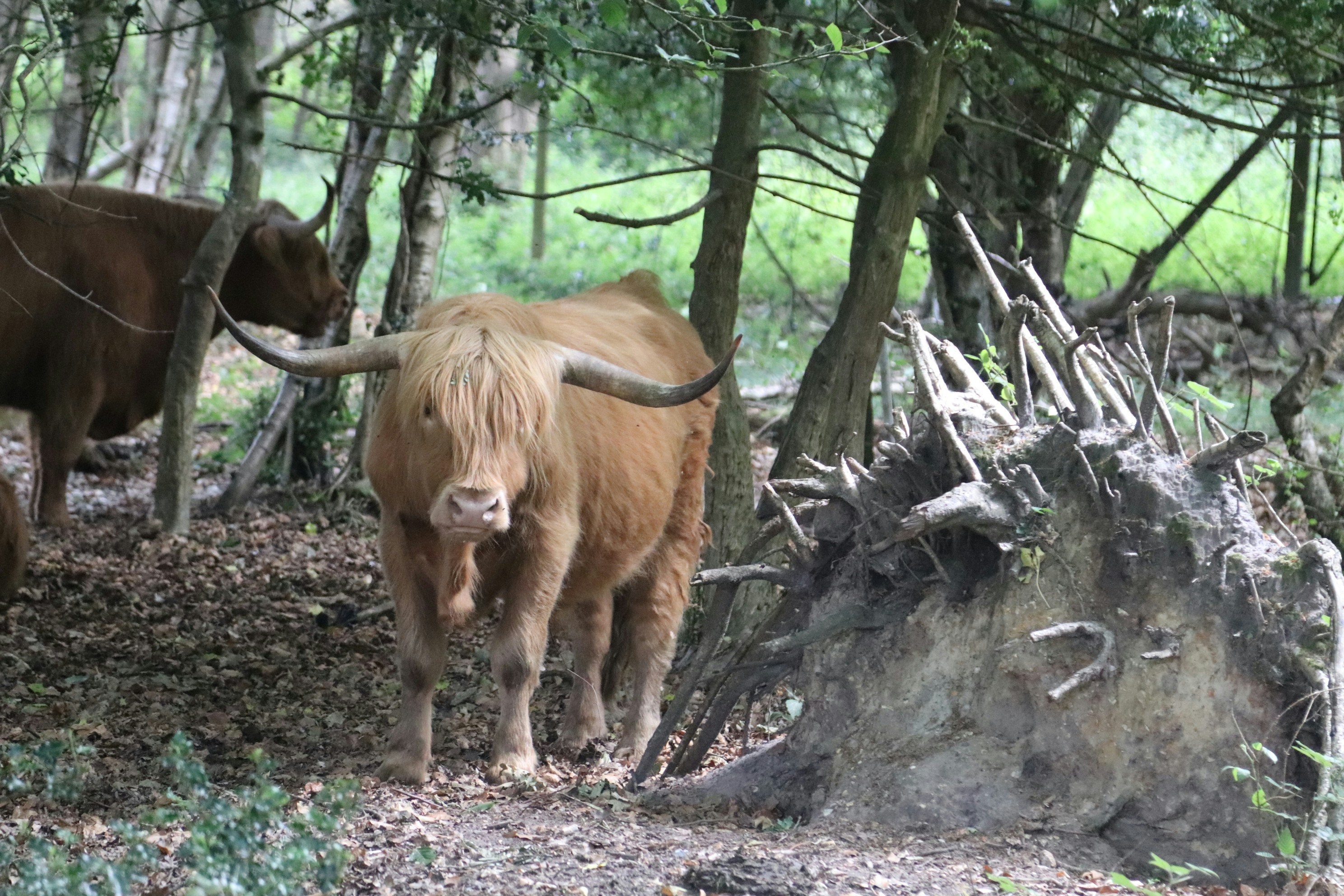 Photo by tanyabarrow