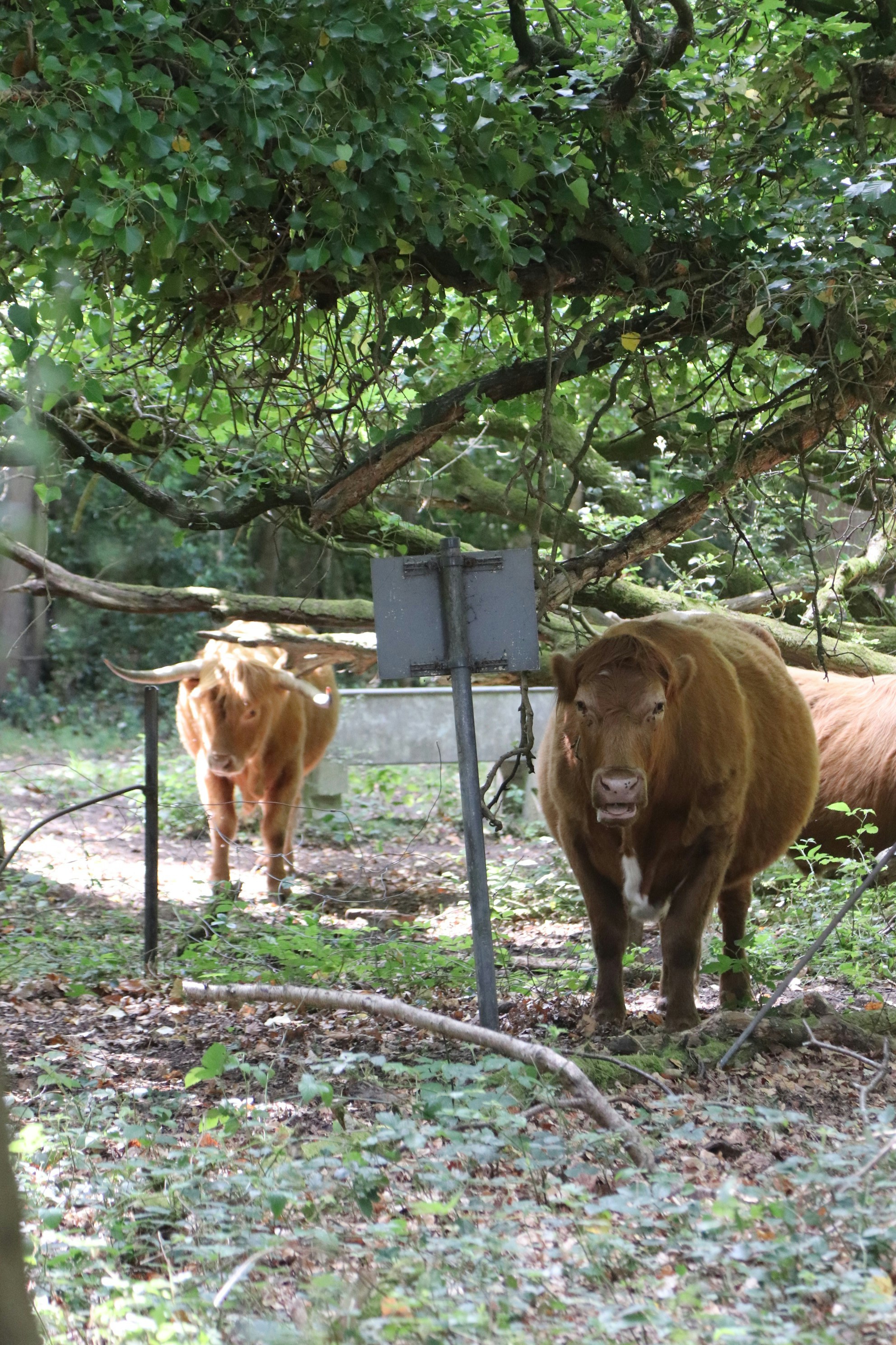 Photo by tanyabarrow