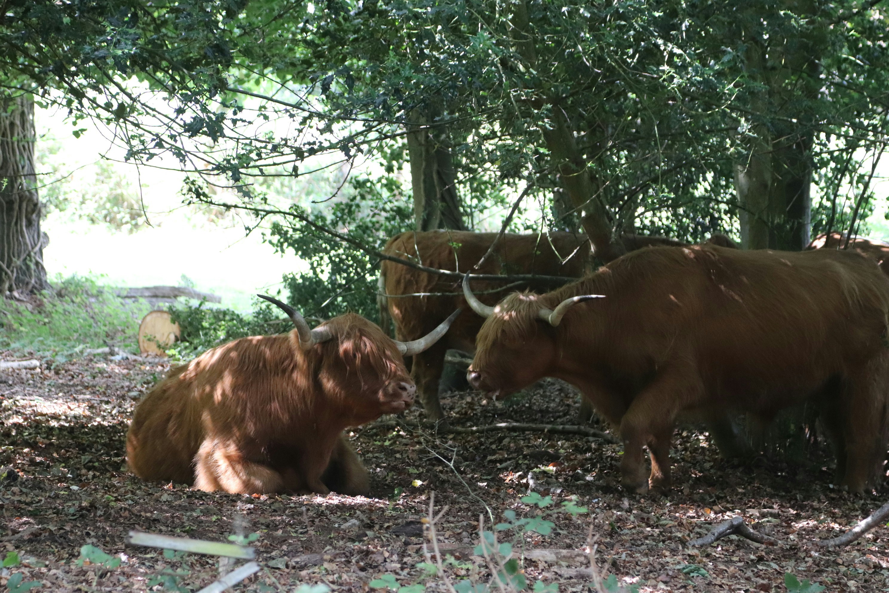 Photo by tanyabarrow