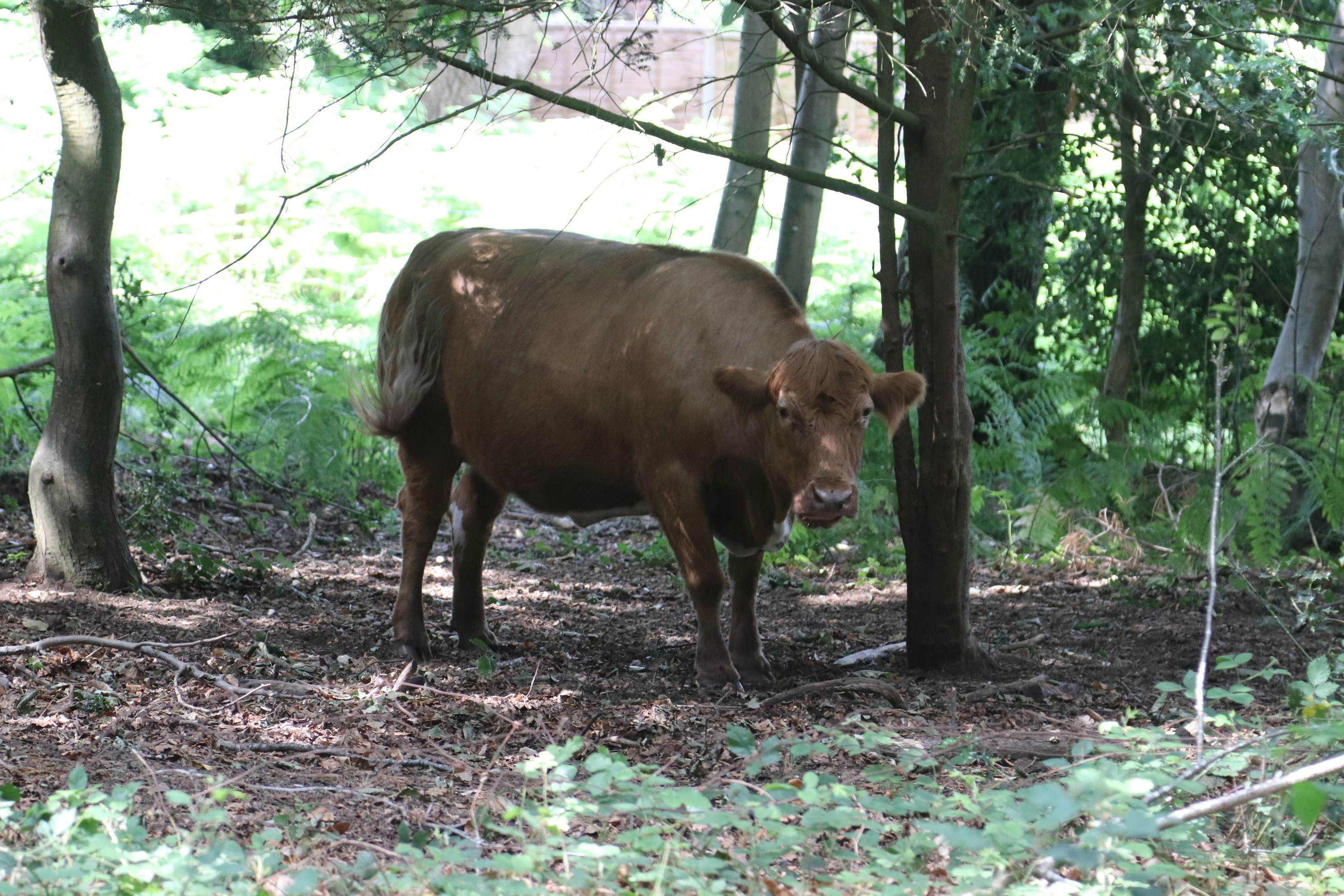 Photo by tanyabarrow