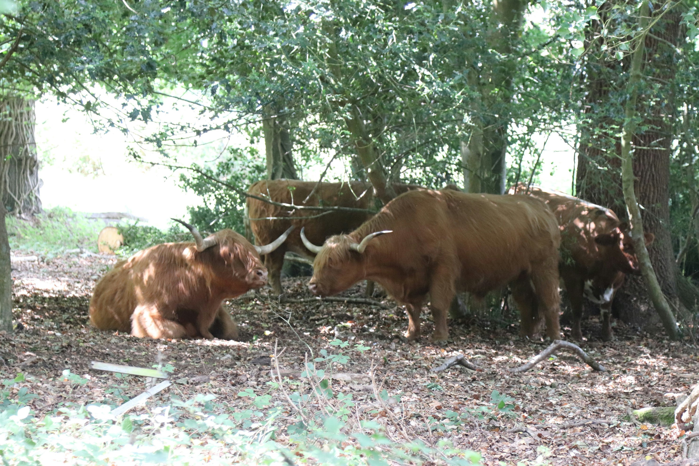 Photo by tanyabarrow