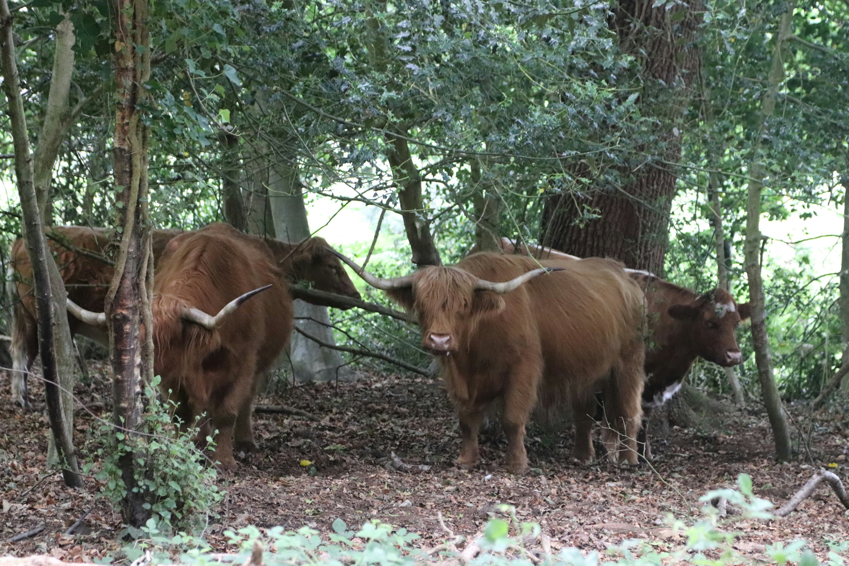 Photo by tanyabarrow