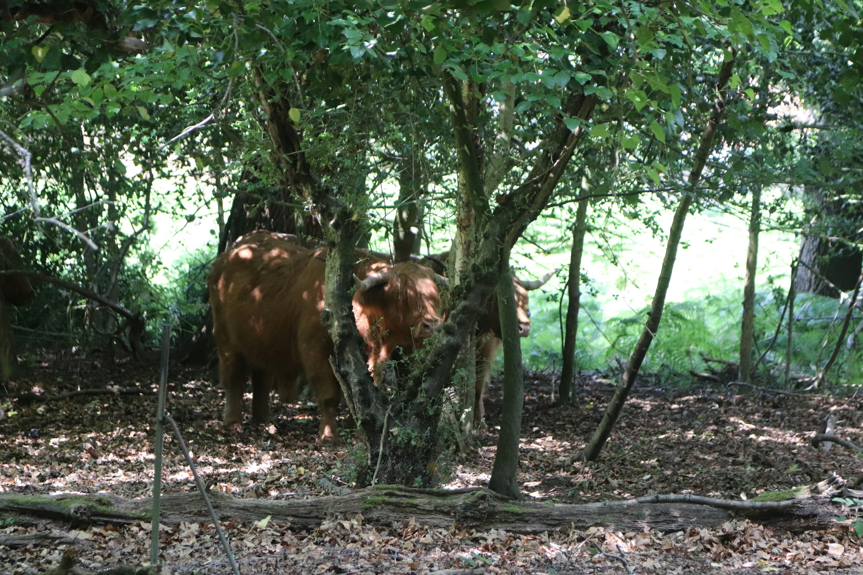 Photo by tanyabarrow