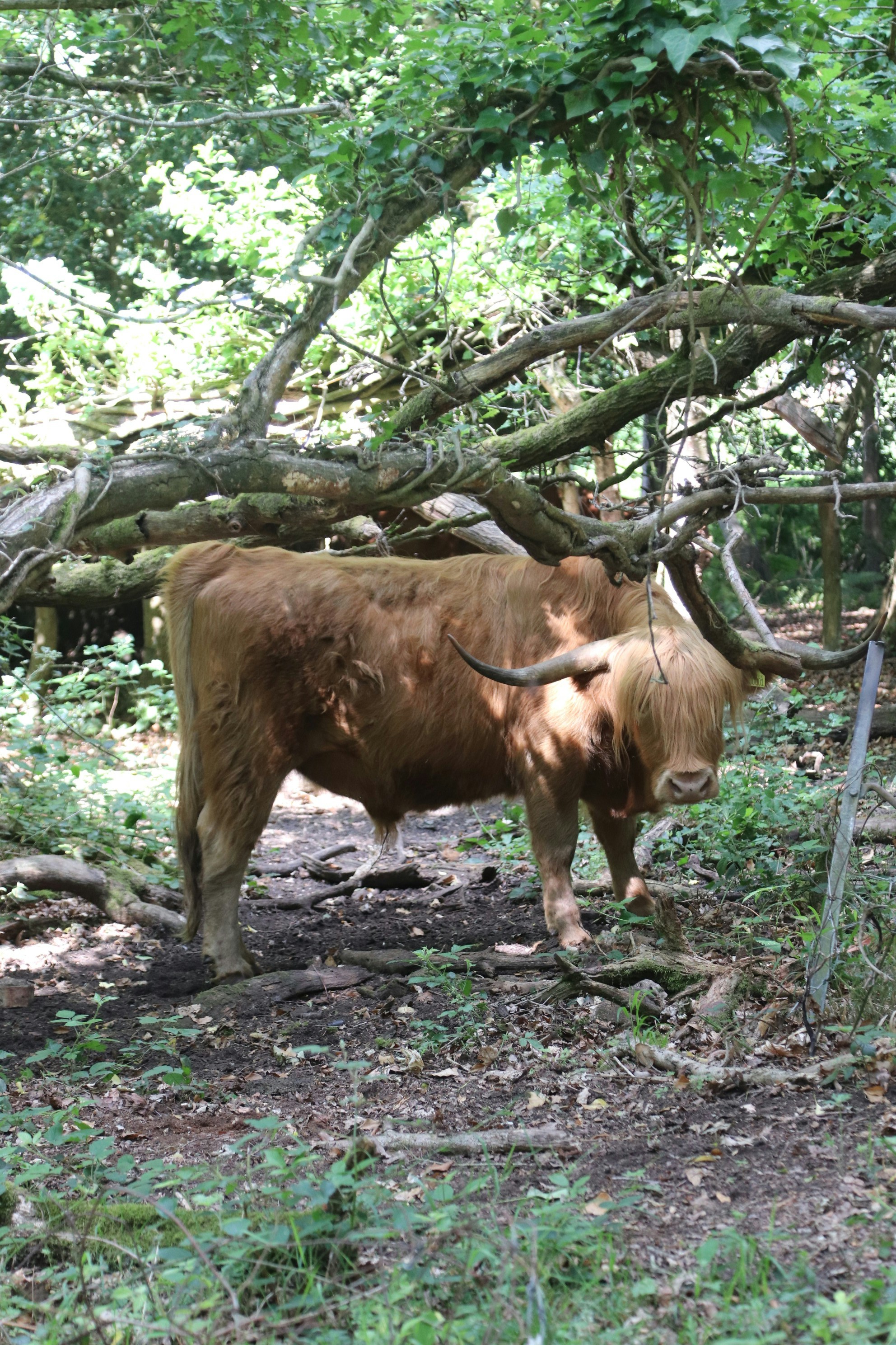 Photo by tanyabarrow