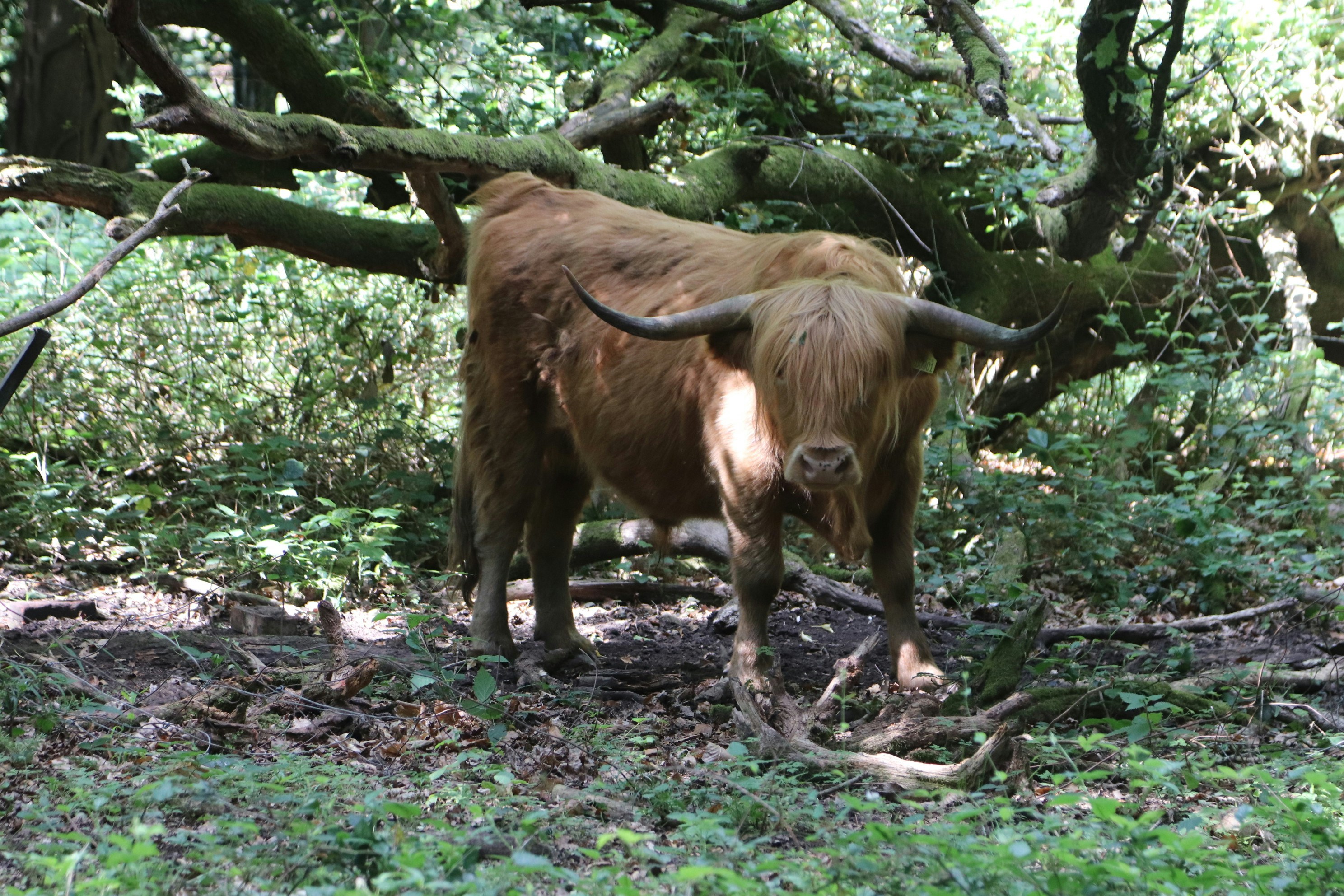 Photo by tanyabarrow