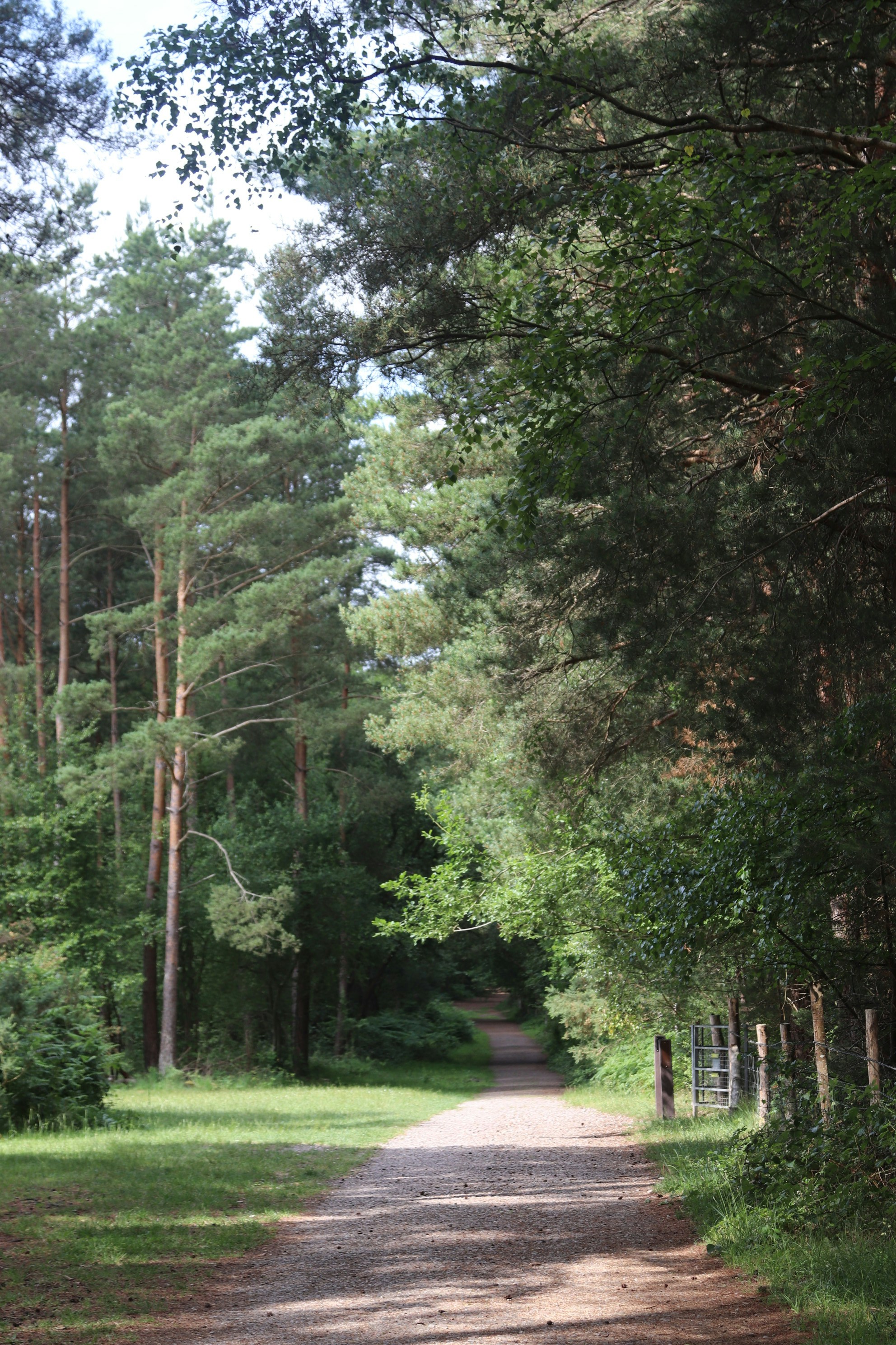 Photo by tanyabarrow