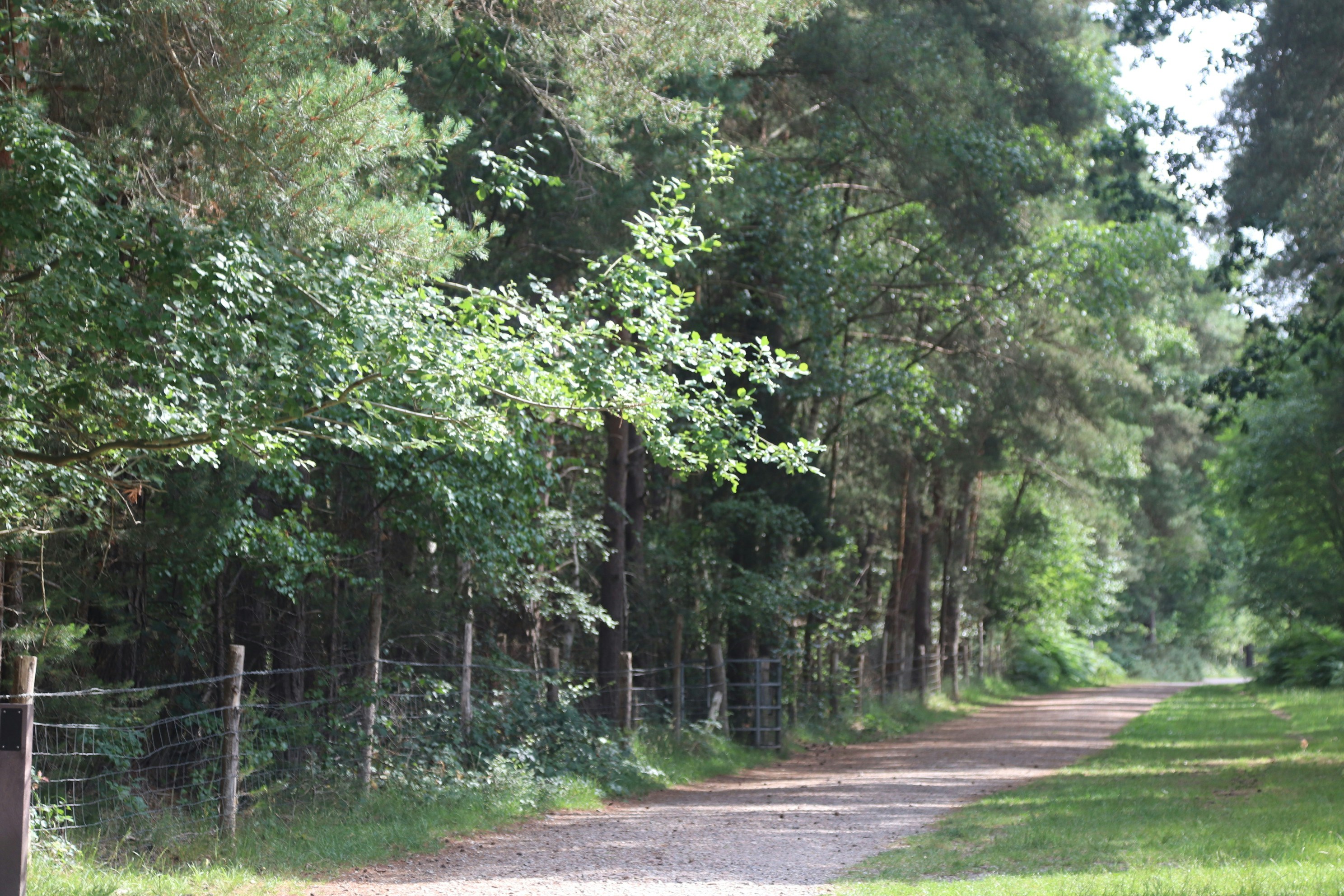 Photo by tanyabarrow