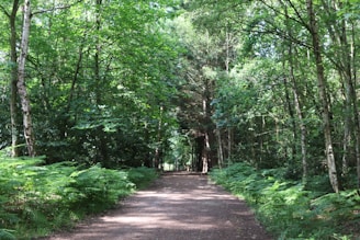 hen party in Sherwood