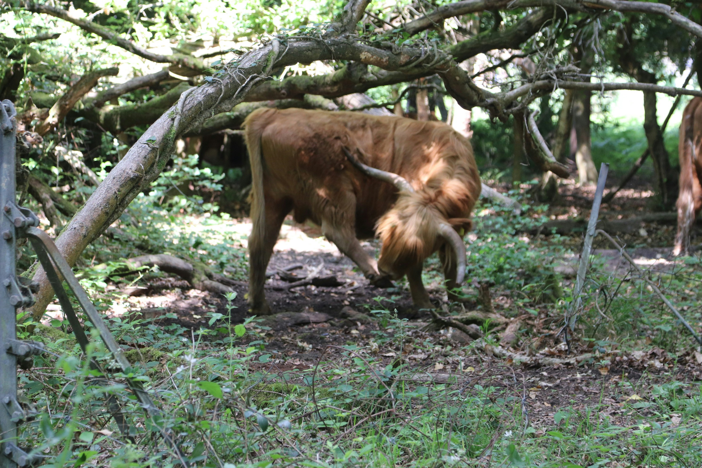 Photo by tanyabarrow