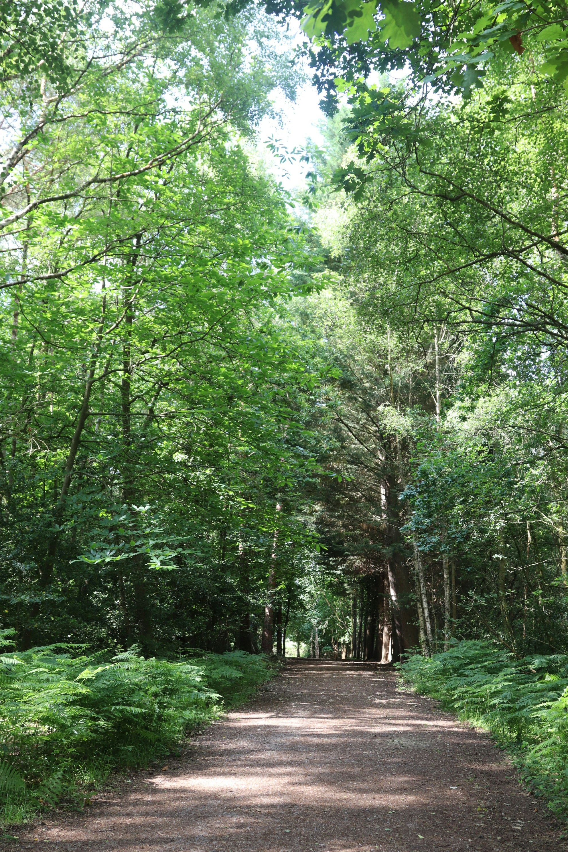 Photo by tanyabarrow