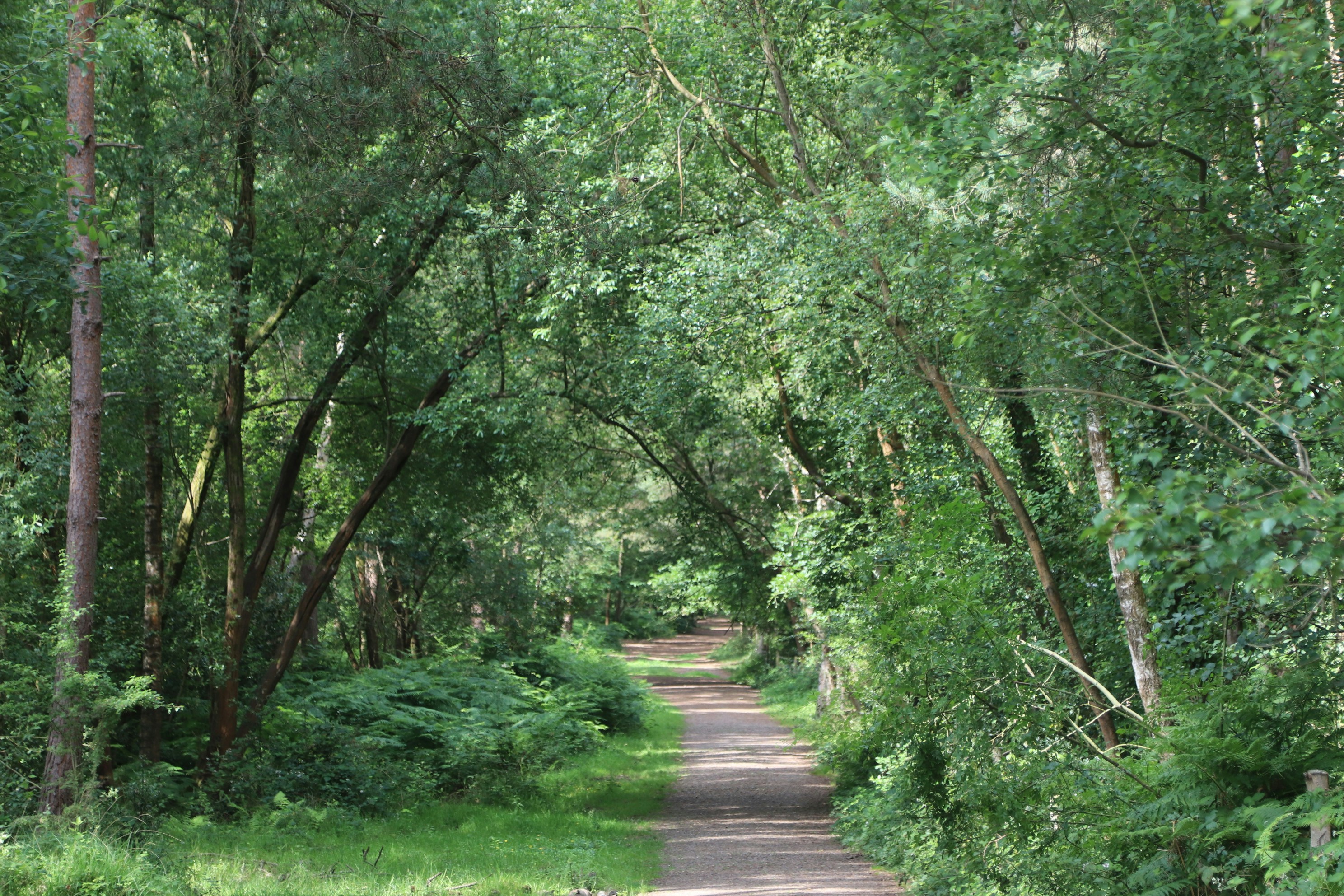 Photo by tanyabarrow