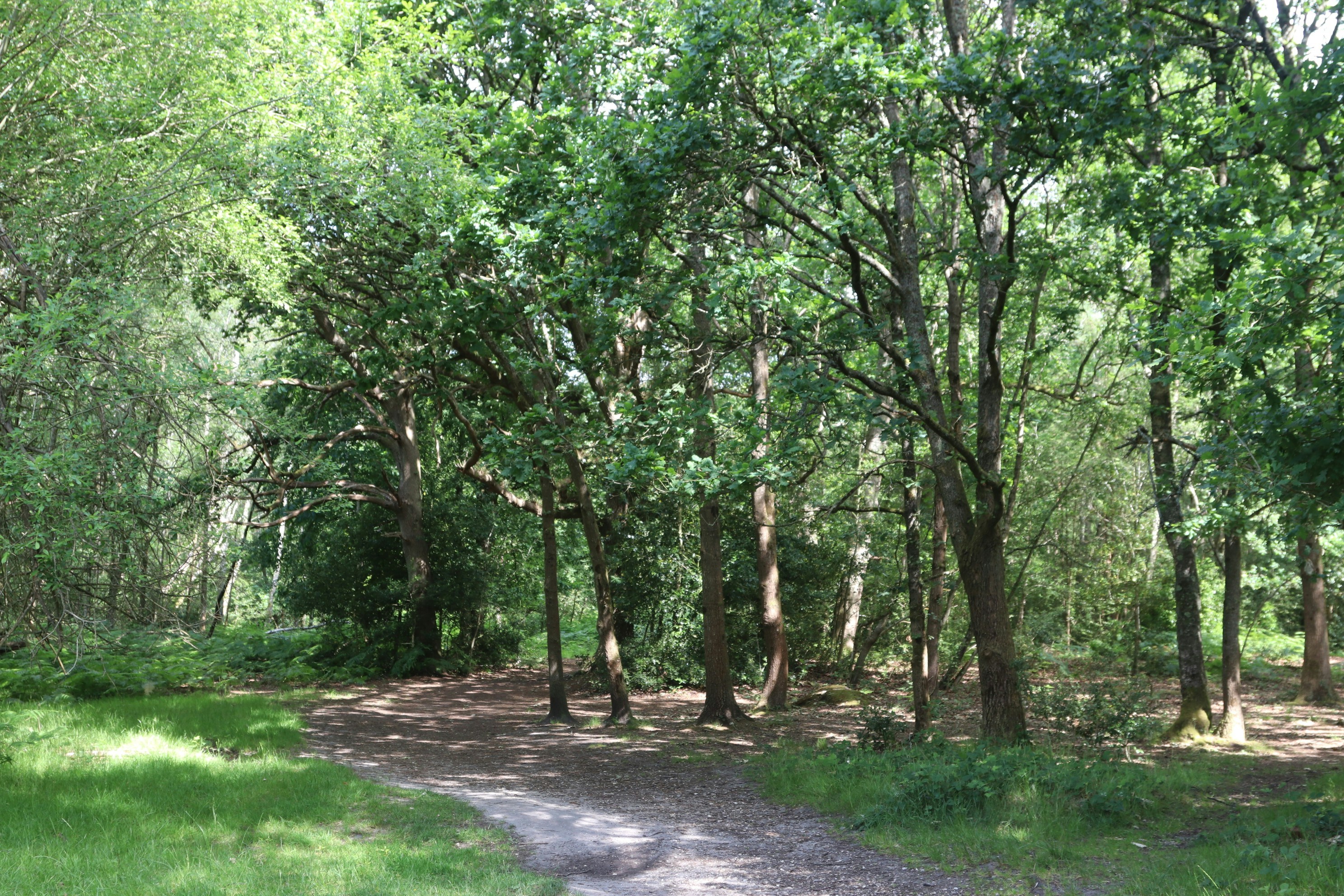 Photo by tanyabarrow