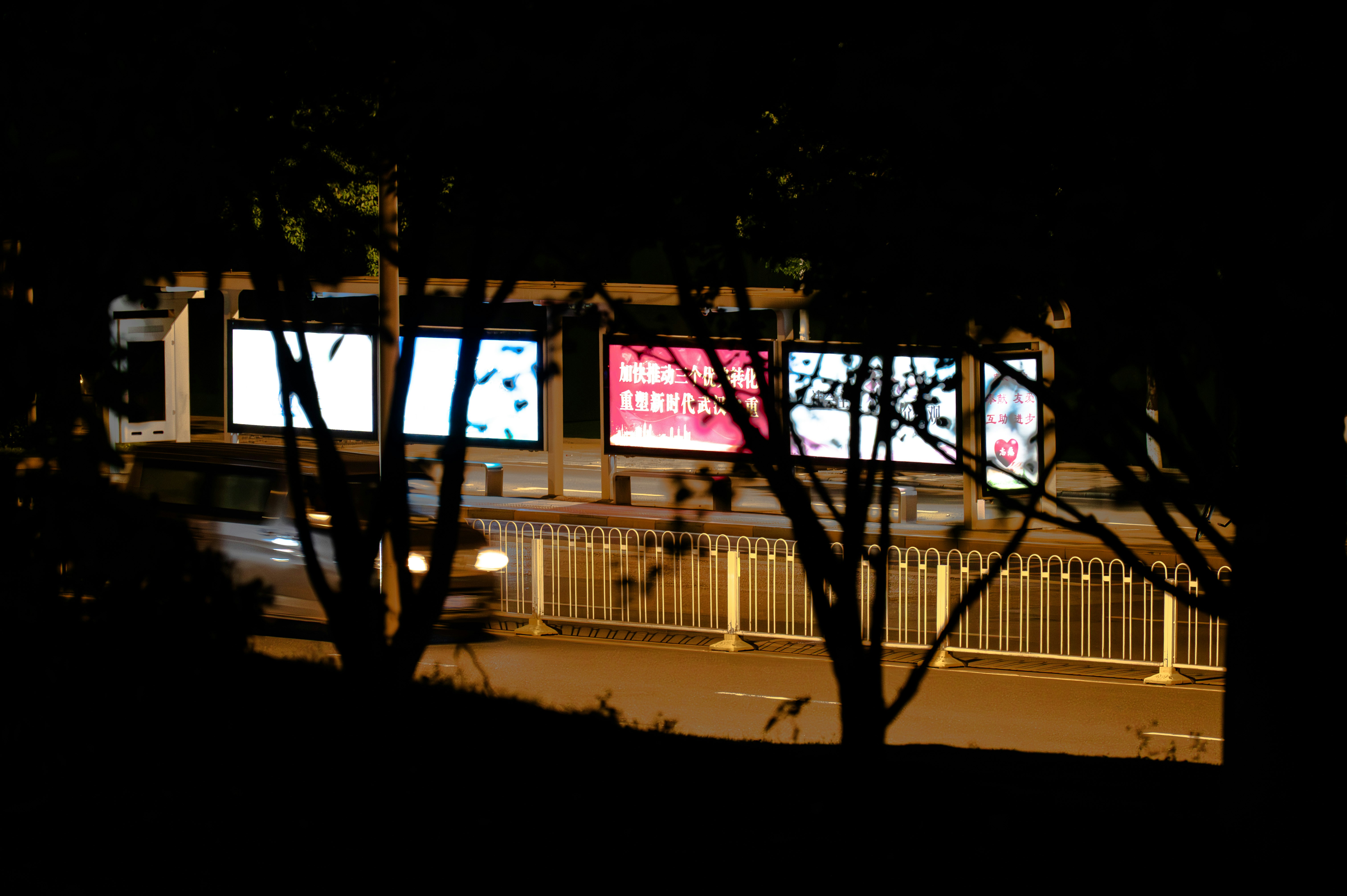 Photo by excellentcx