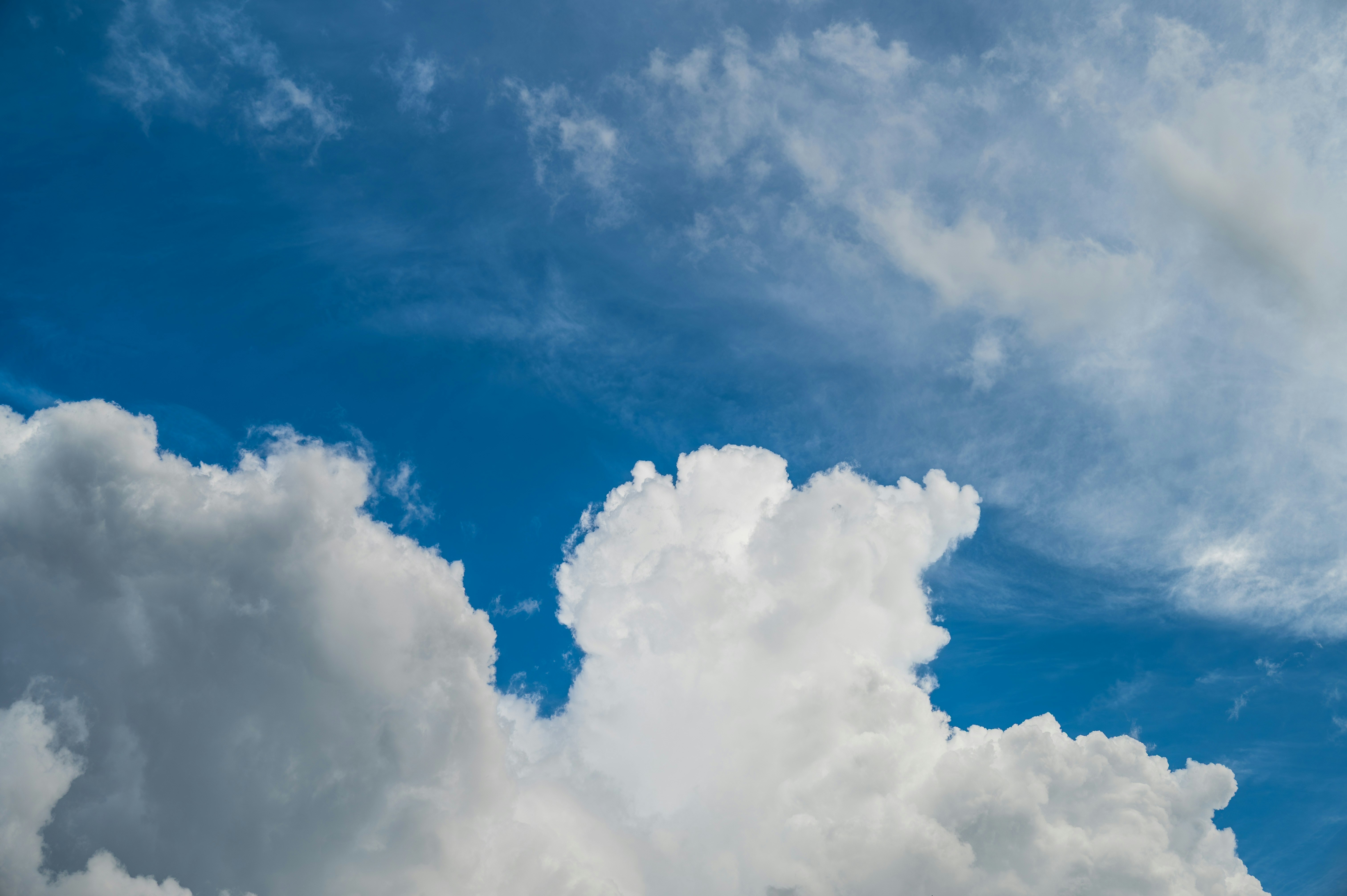 Photo by excellentcx