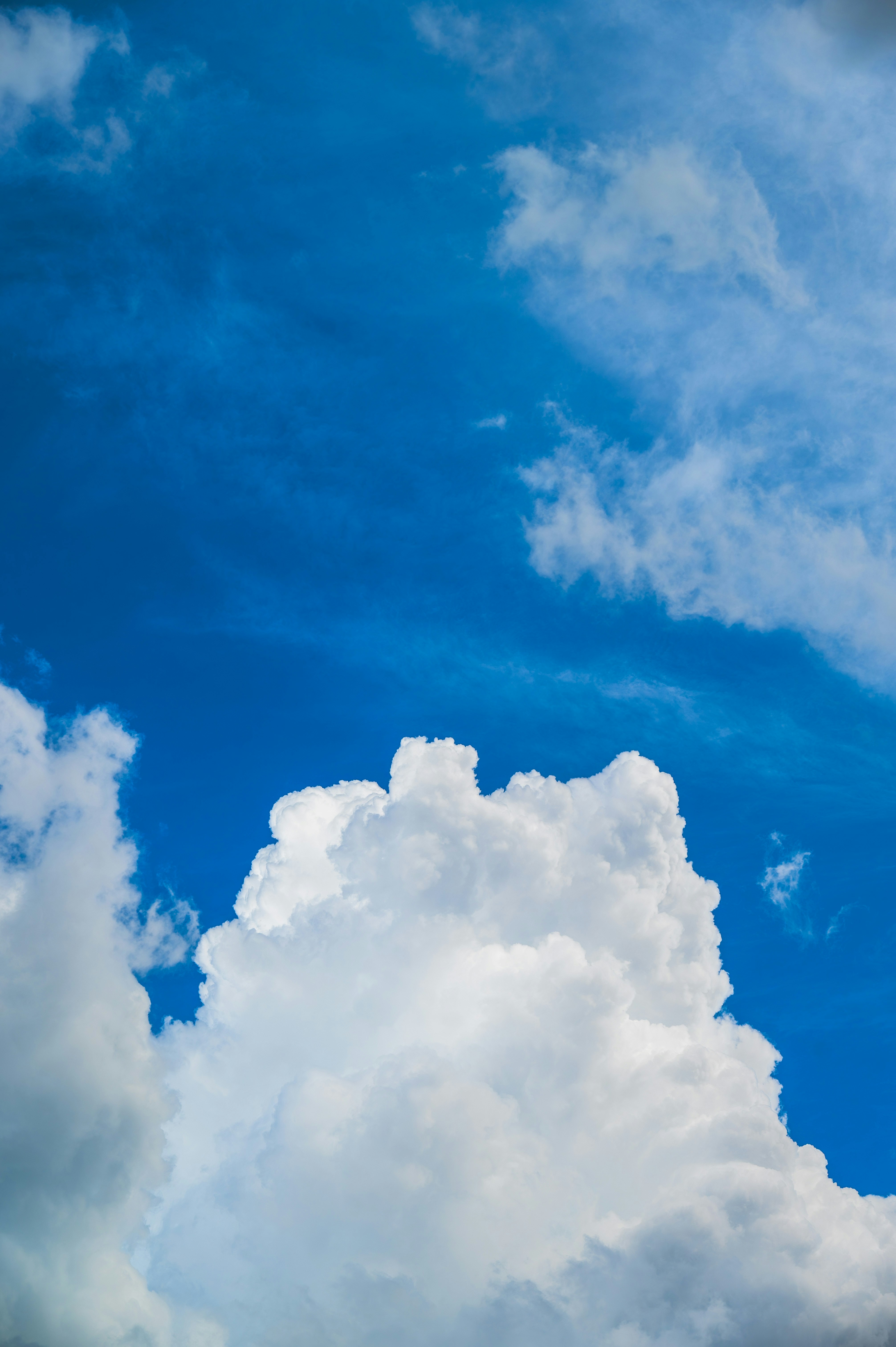 Photo by excellentcx