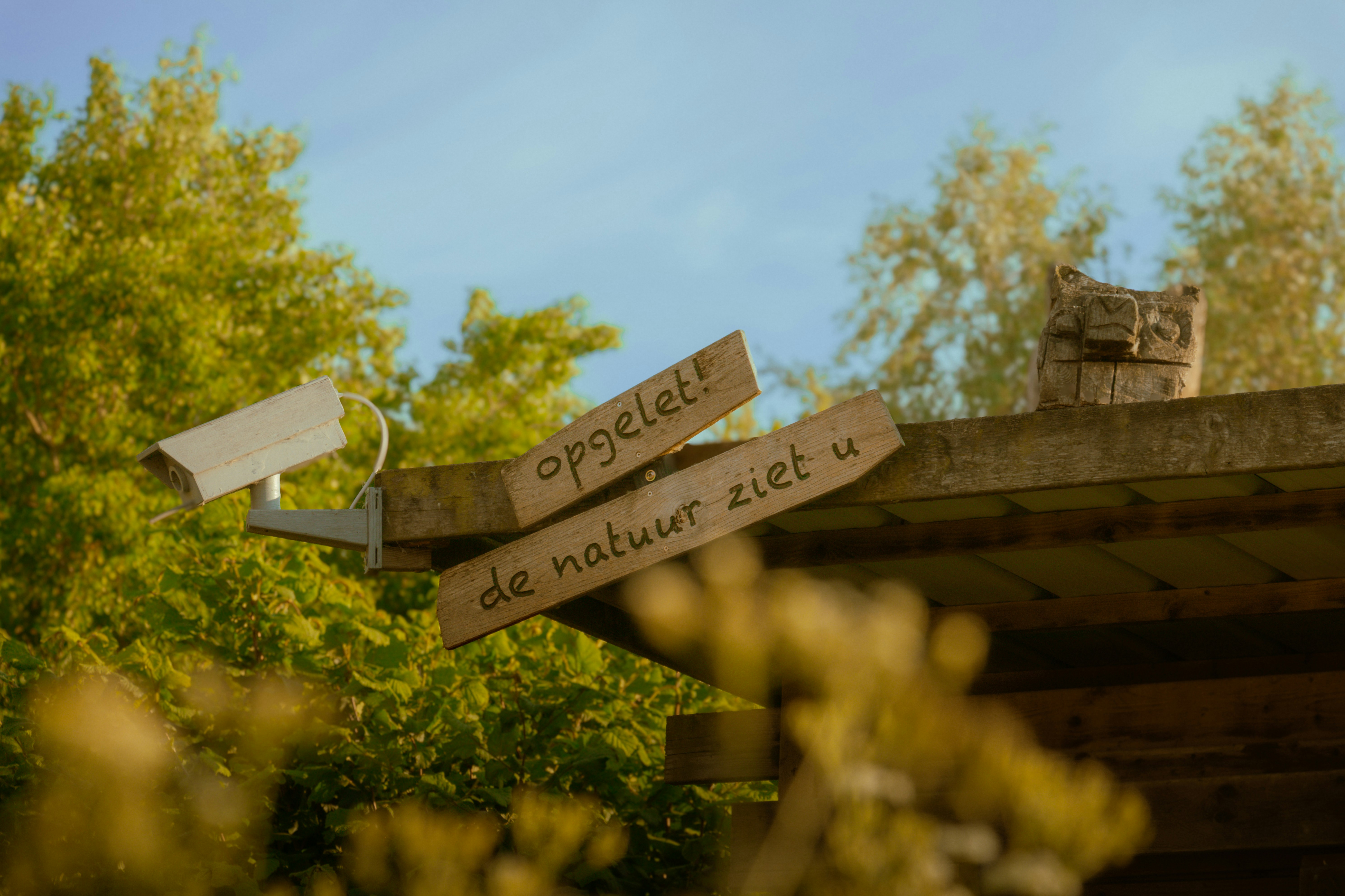 Photo by daanverhoost