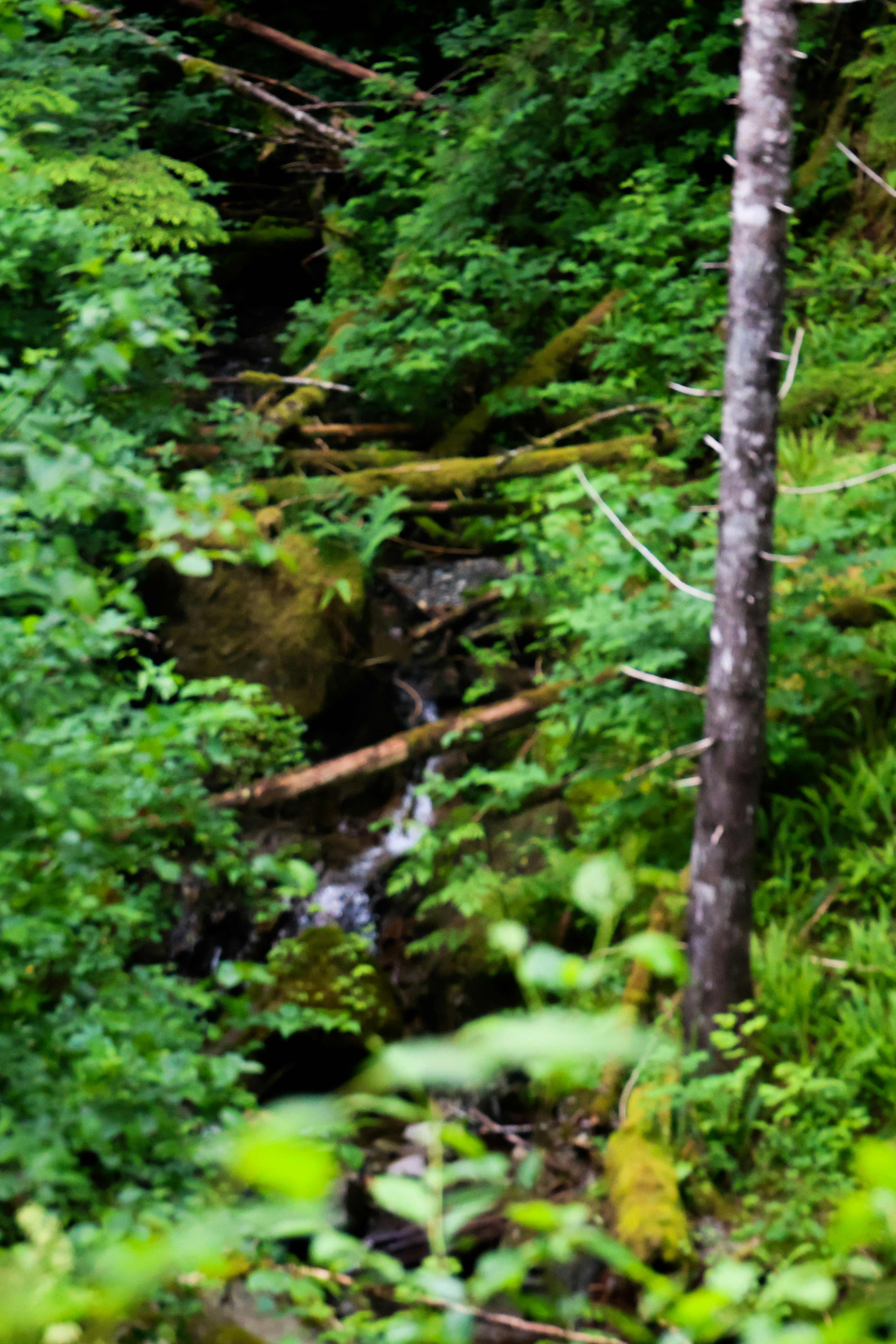 Photo by traveleroohlala