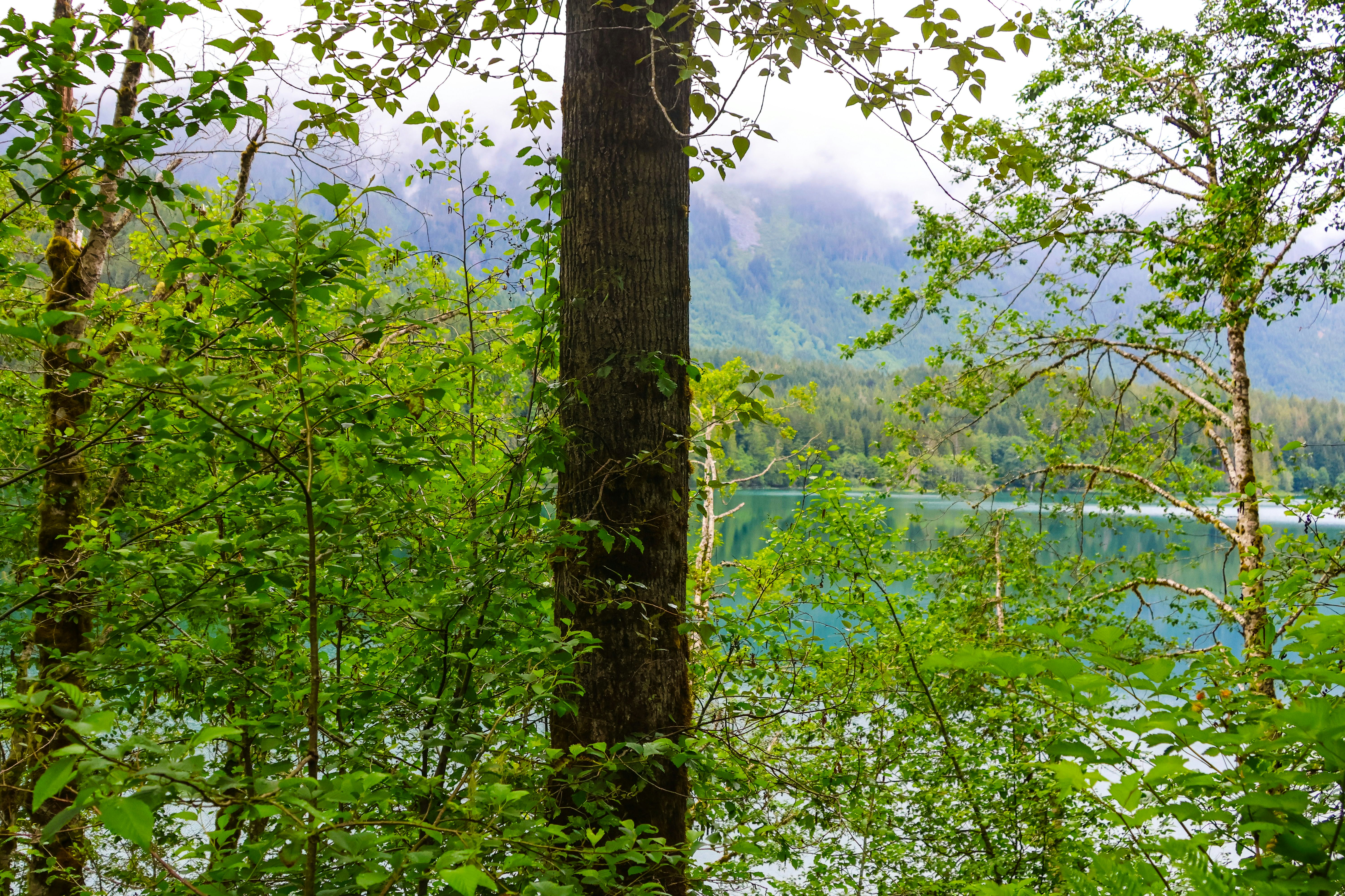 Photo by traveleroohlala