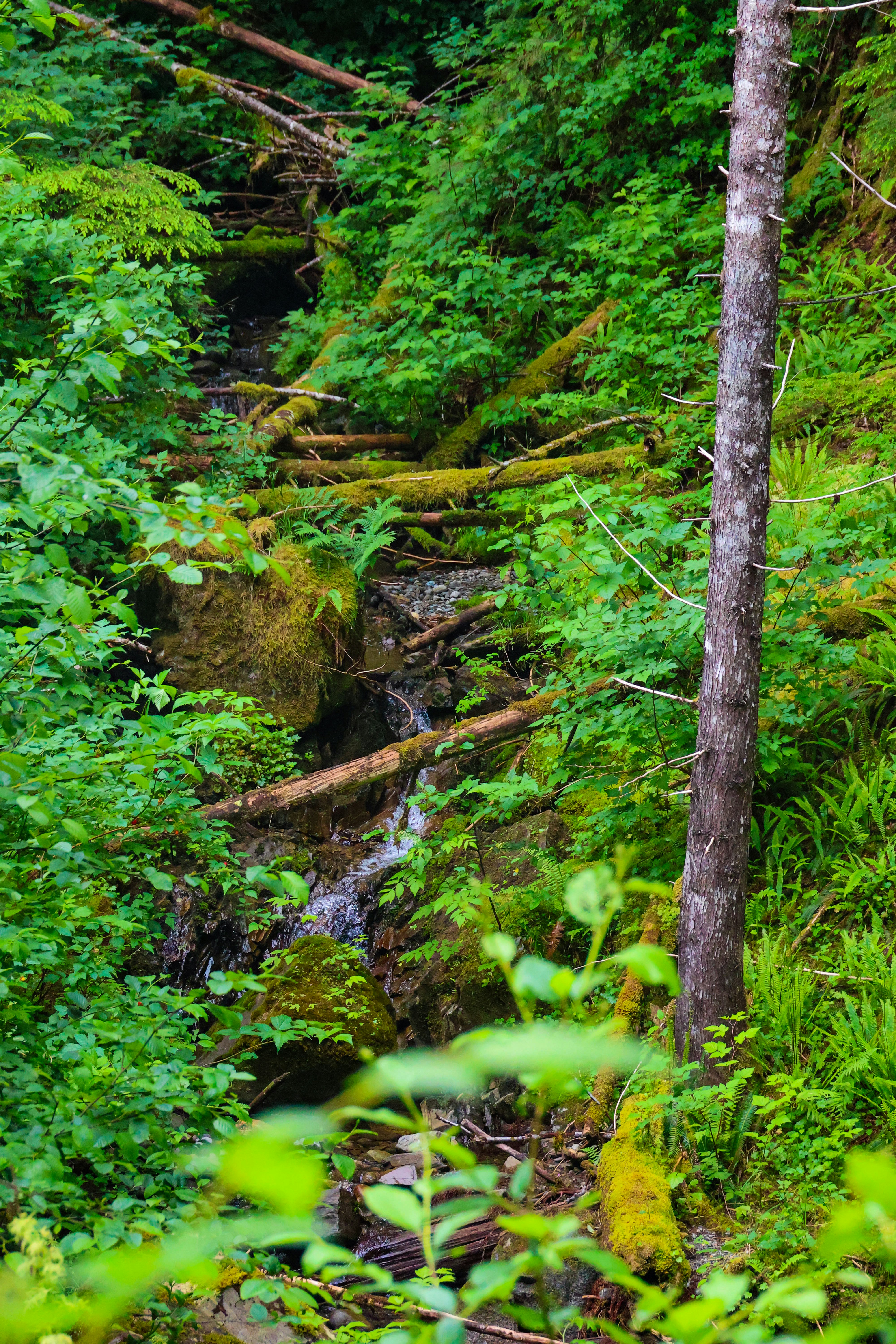 Photo by traveleroohlala