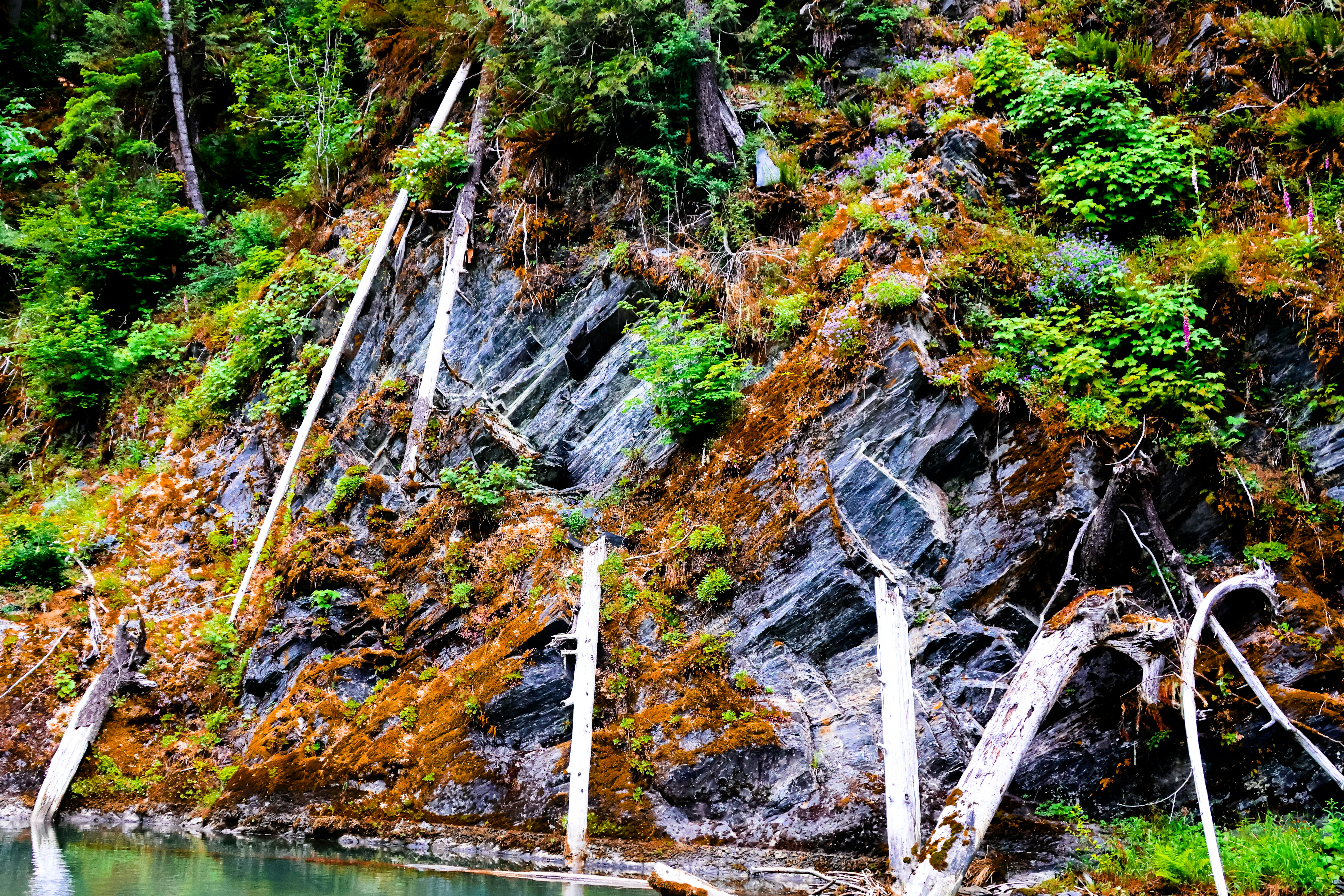 Photo by traveleroohlala