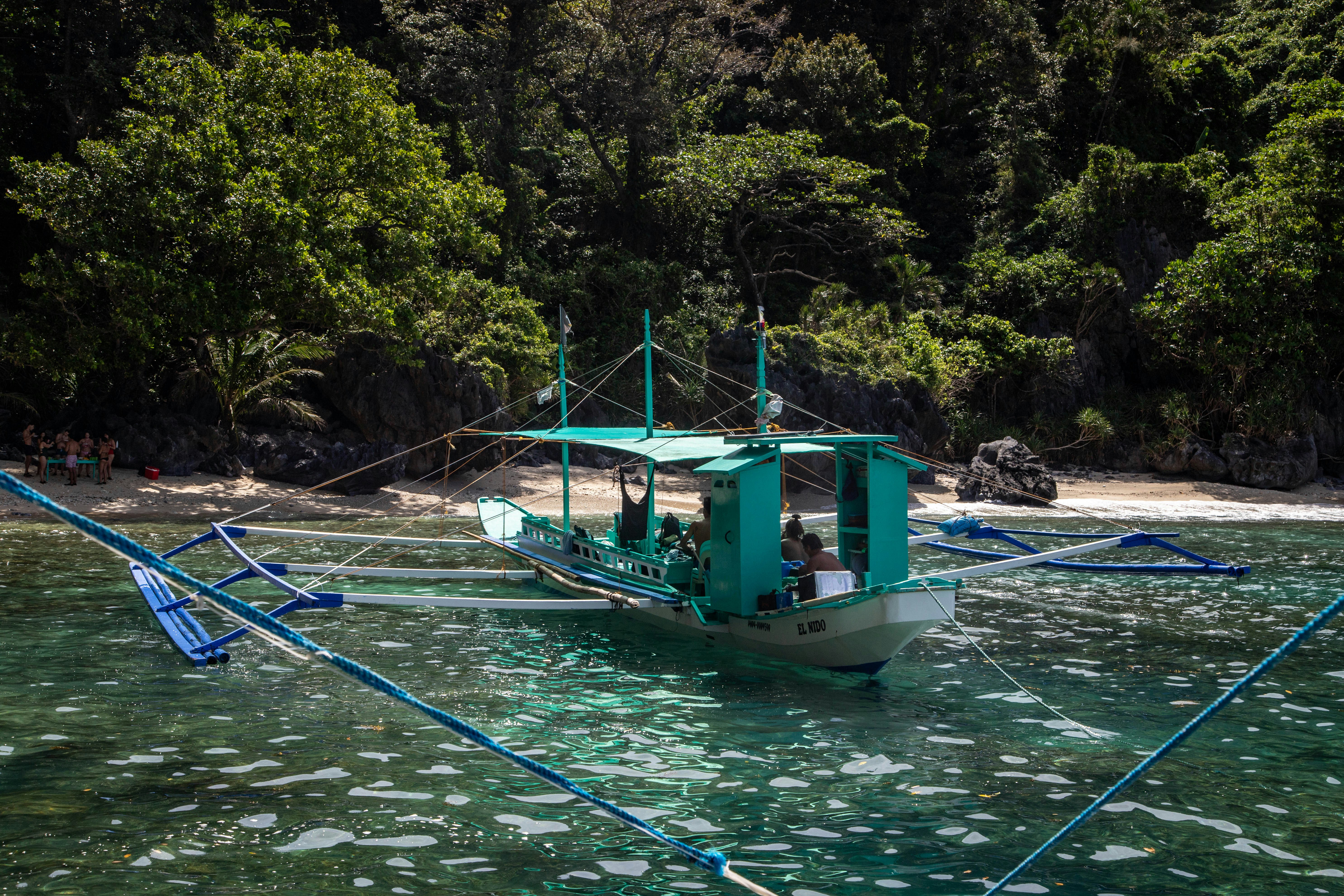 Boat floats near a tropical beach with lush trees.