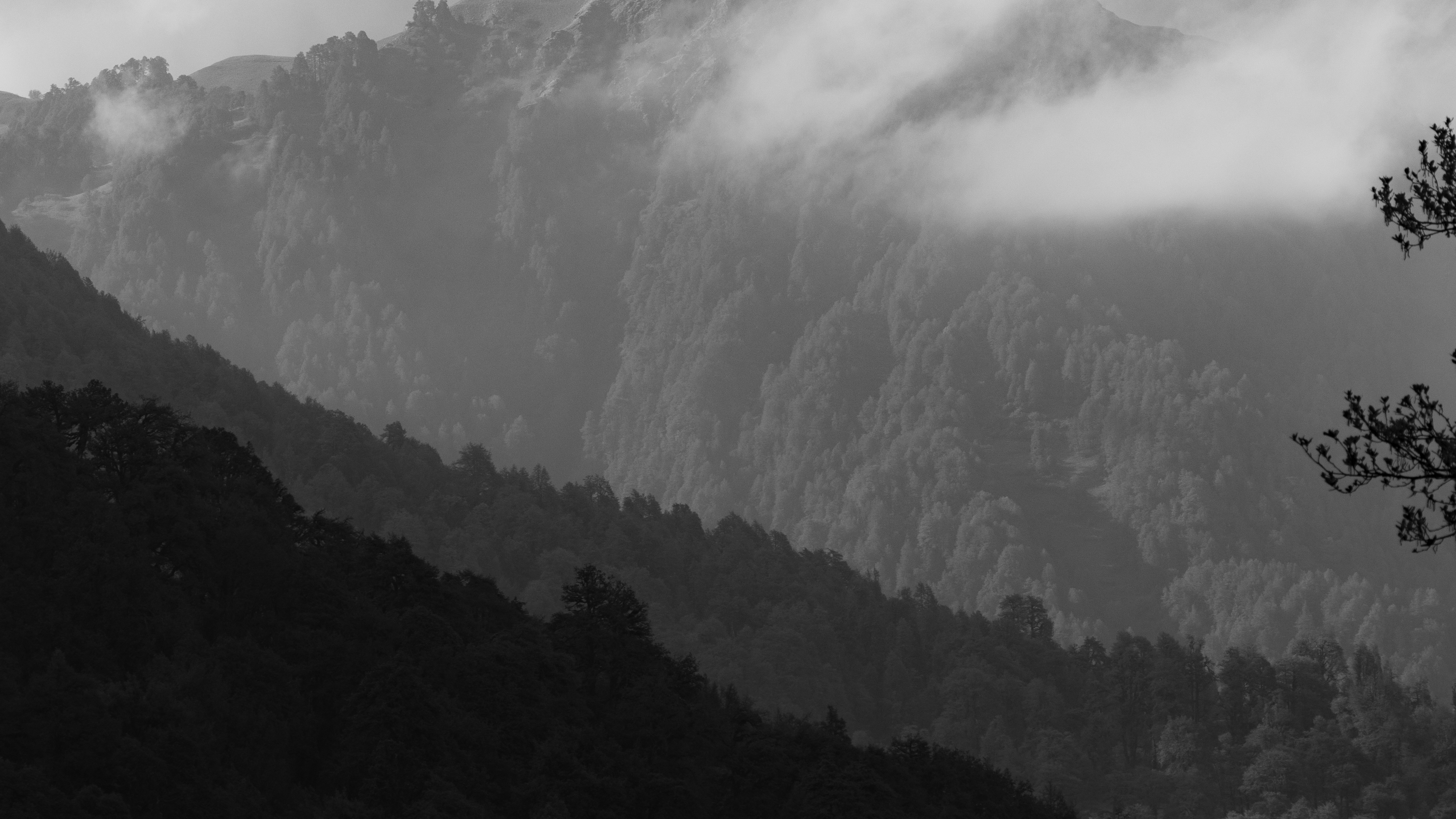 Photo by suryadoingstuff