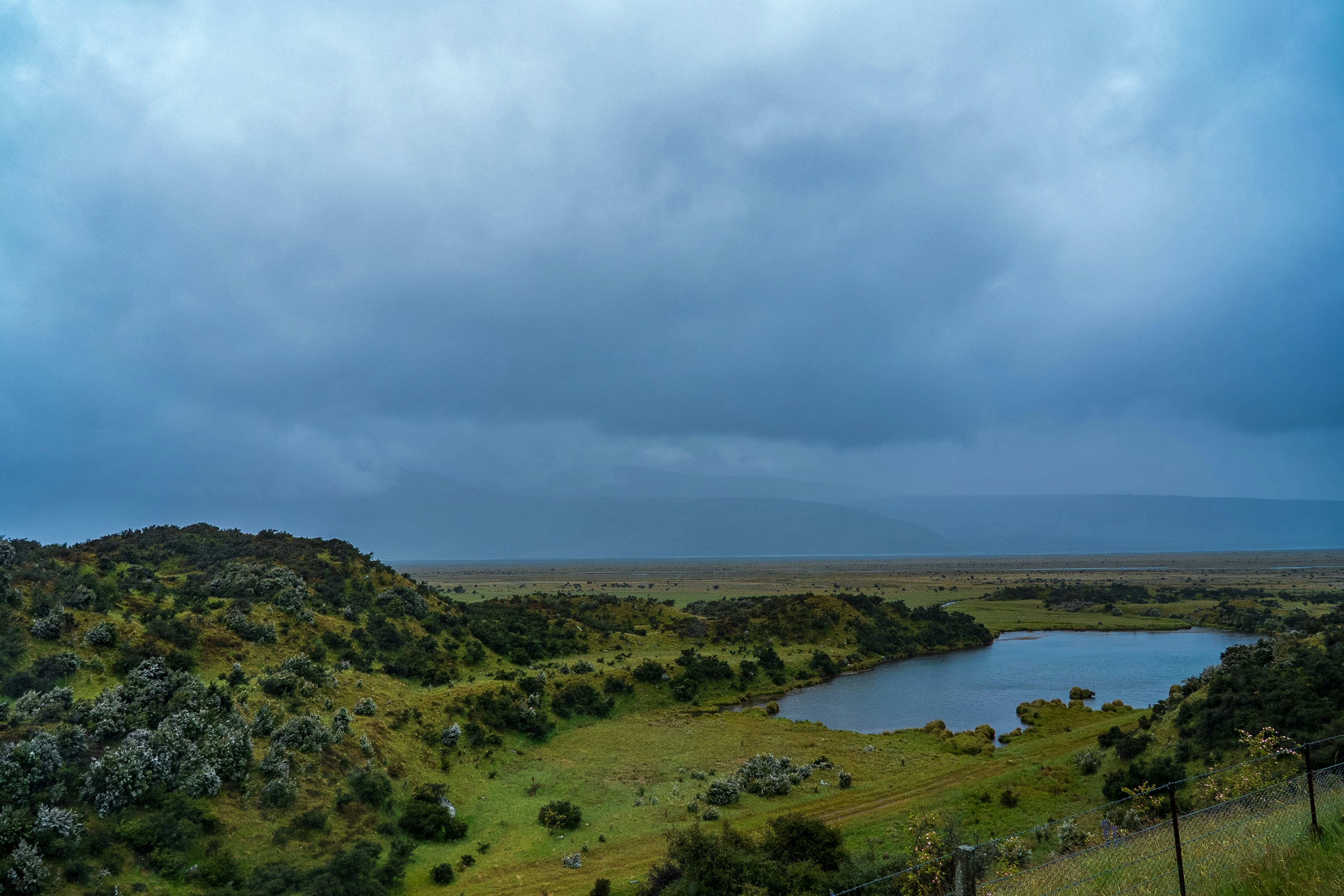 Gloomy day over a serene lake and grassy landscape.
