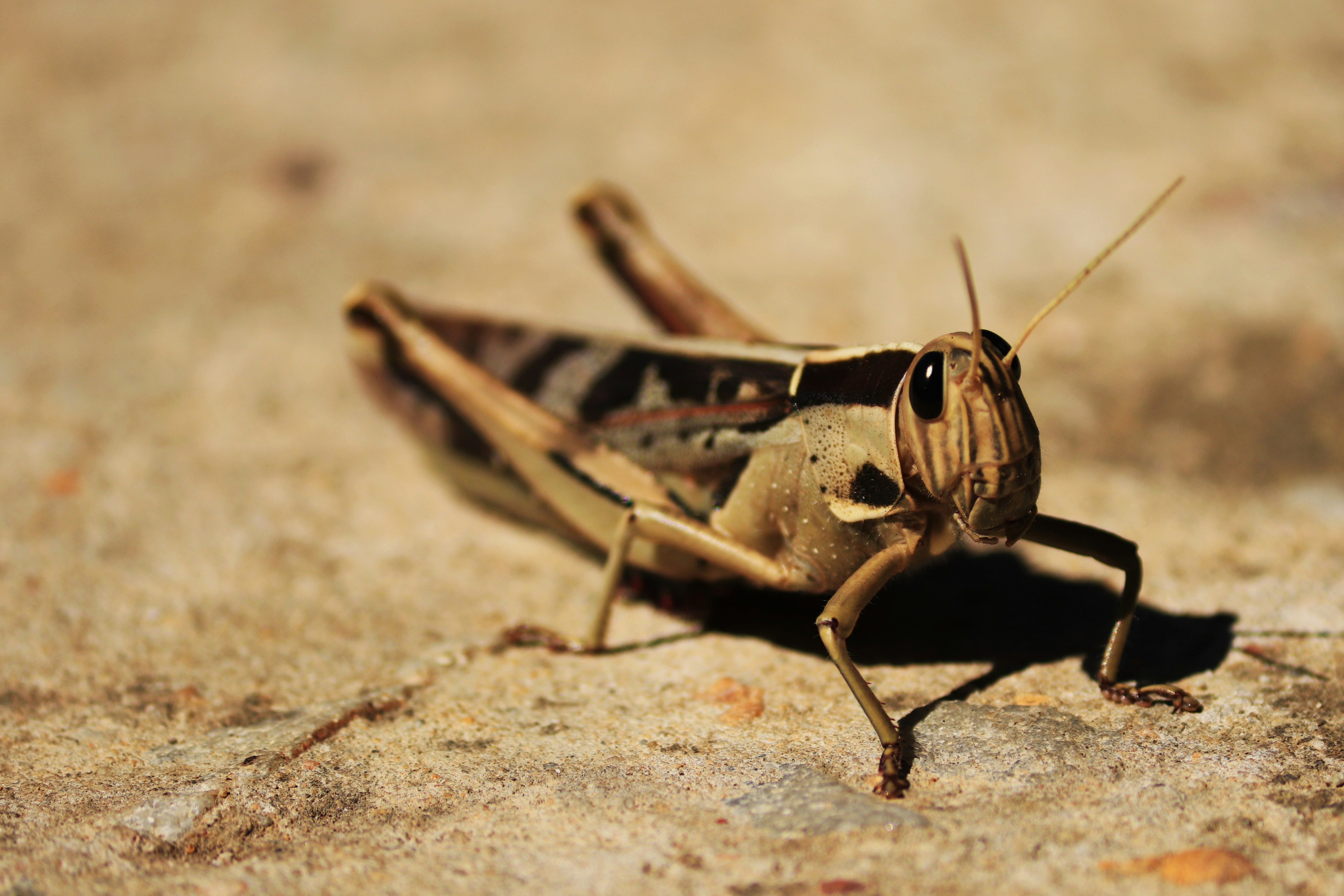 Photo by anykikiphotography