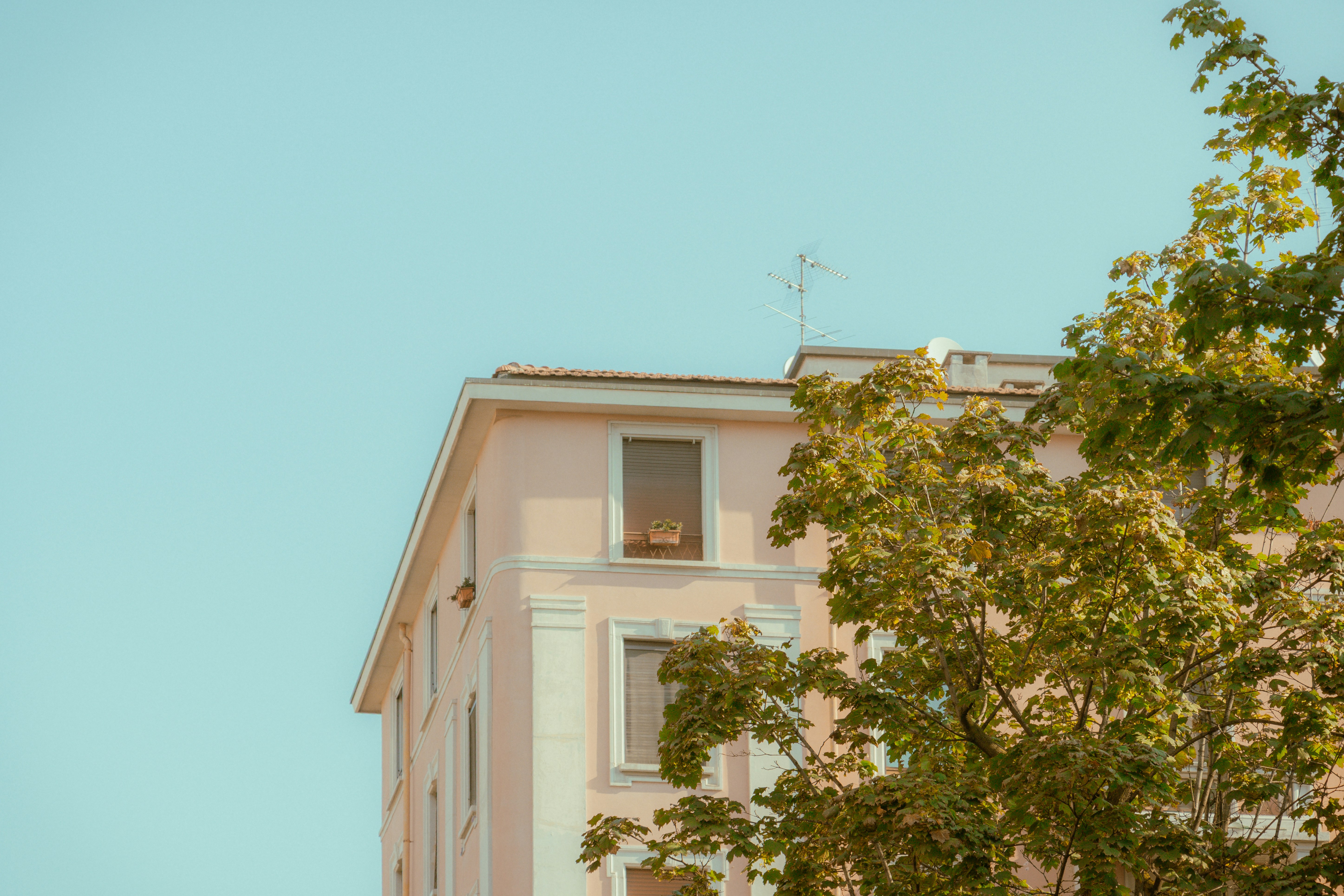 Photo by daanverhoost