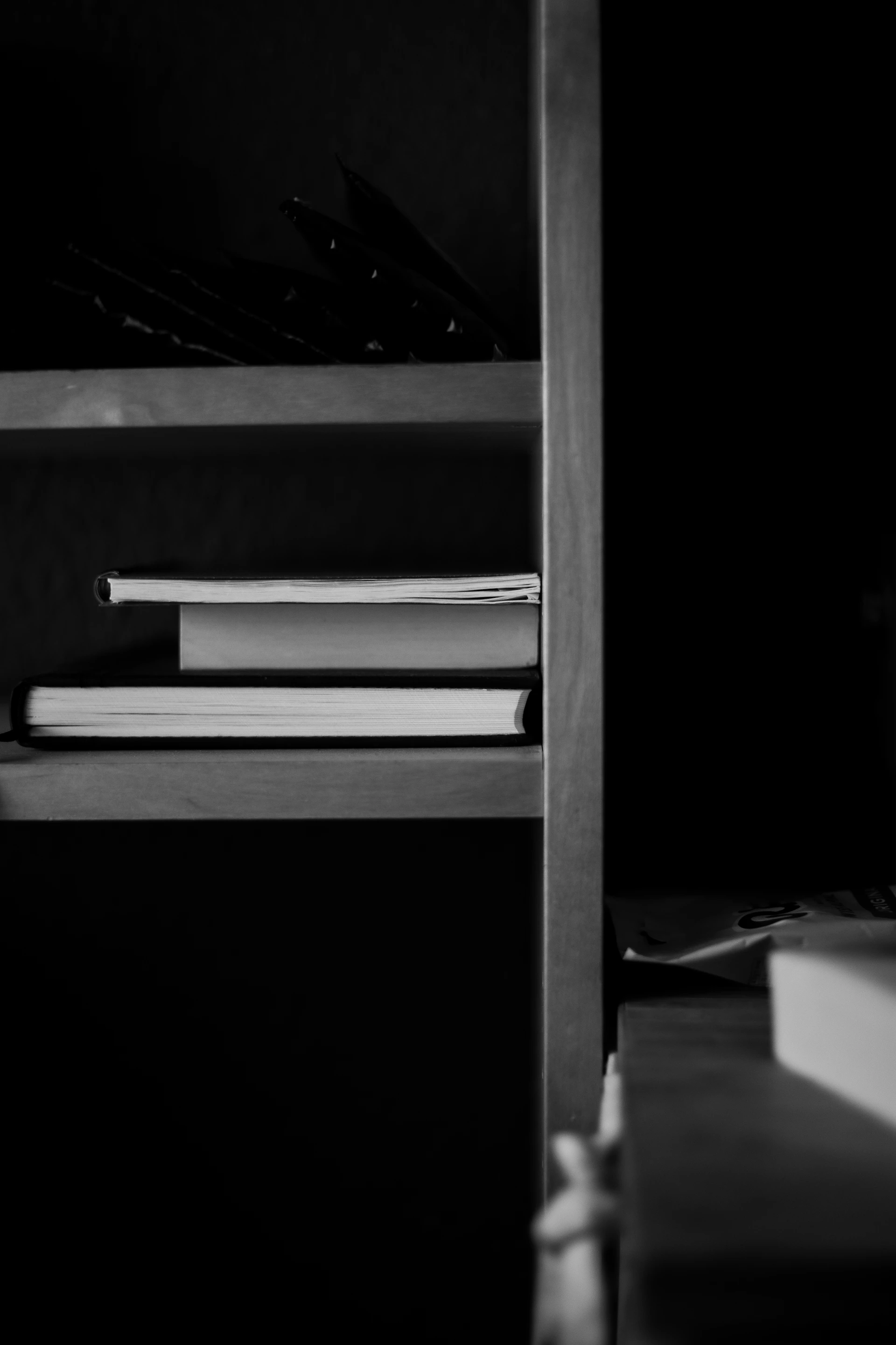 Books are stacked neatly on the shelf.