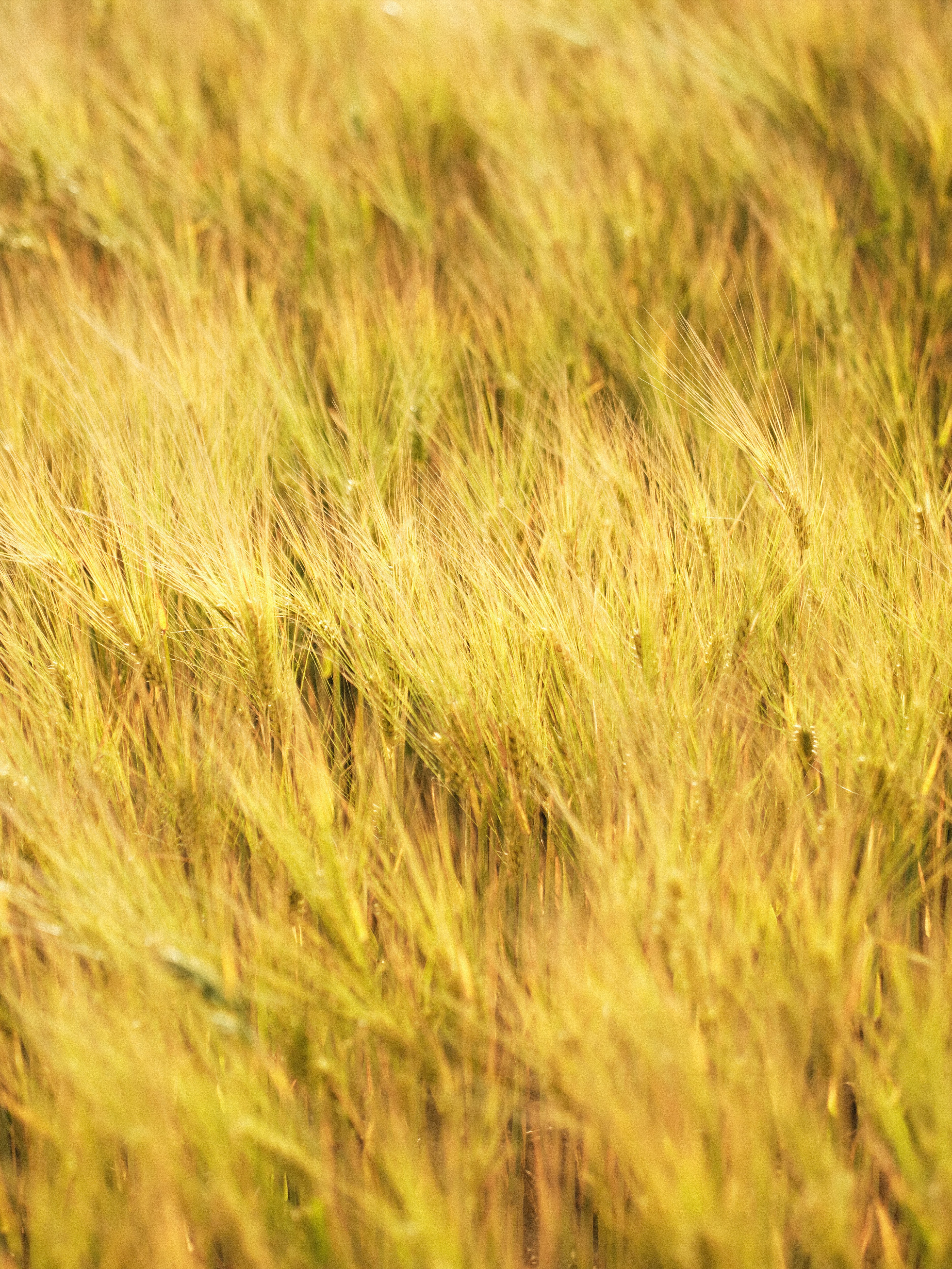 Photo by jkalina