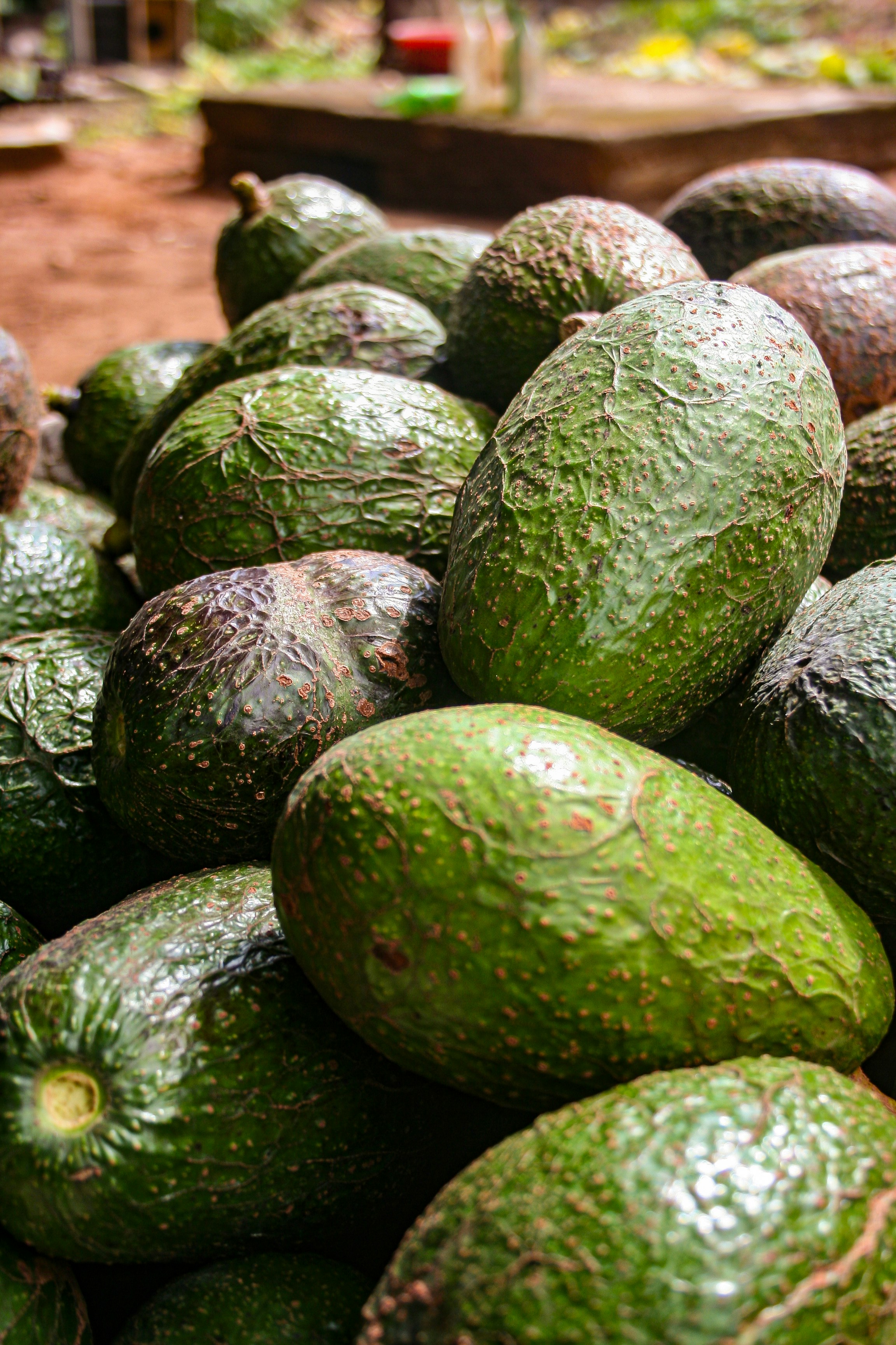 Photo by proudlyswazi_free