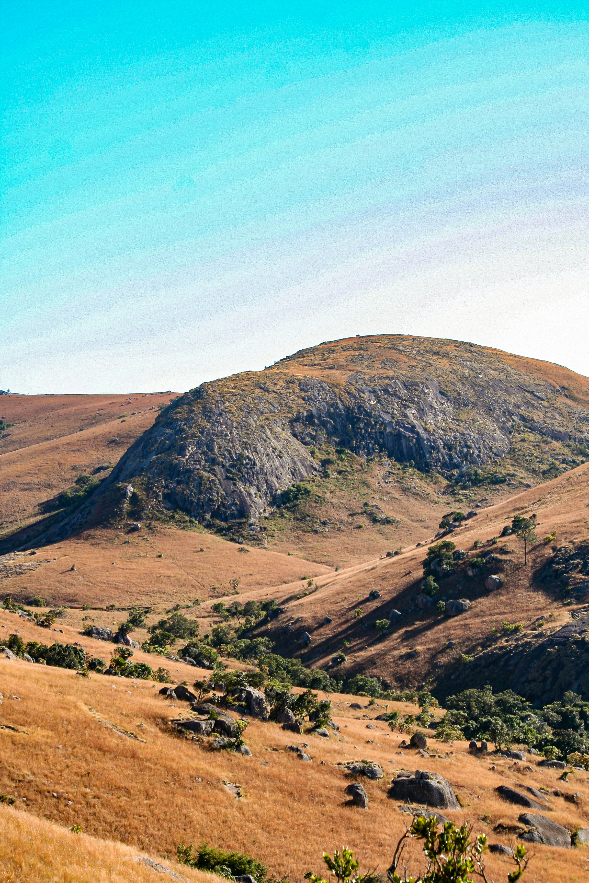 Photo by proudlyswazi_free