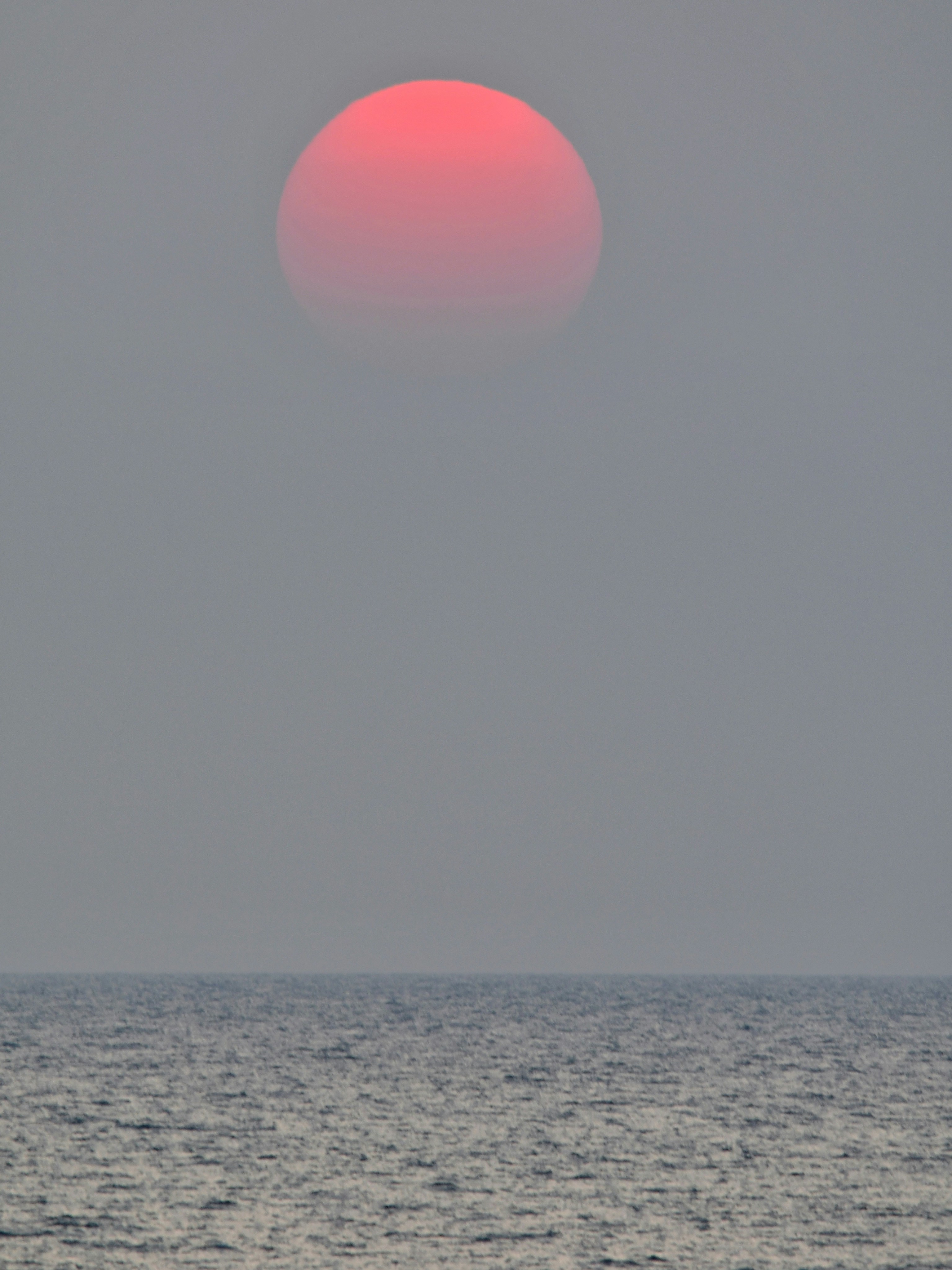 Photo by pedrino5_official