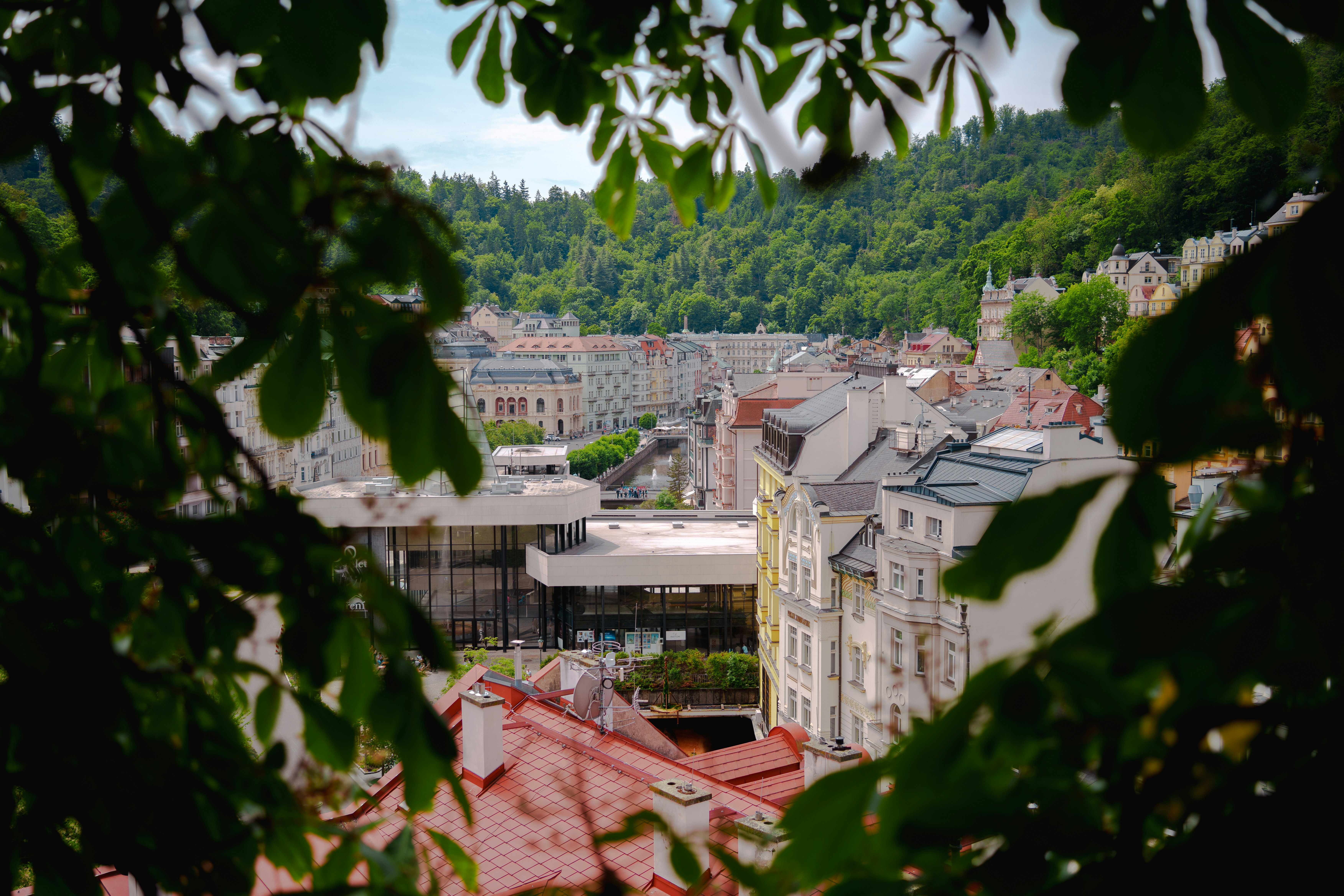 Cityscape framed by green foliage.