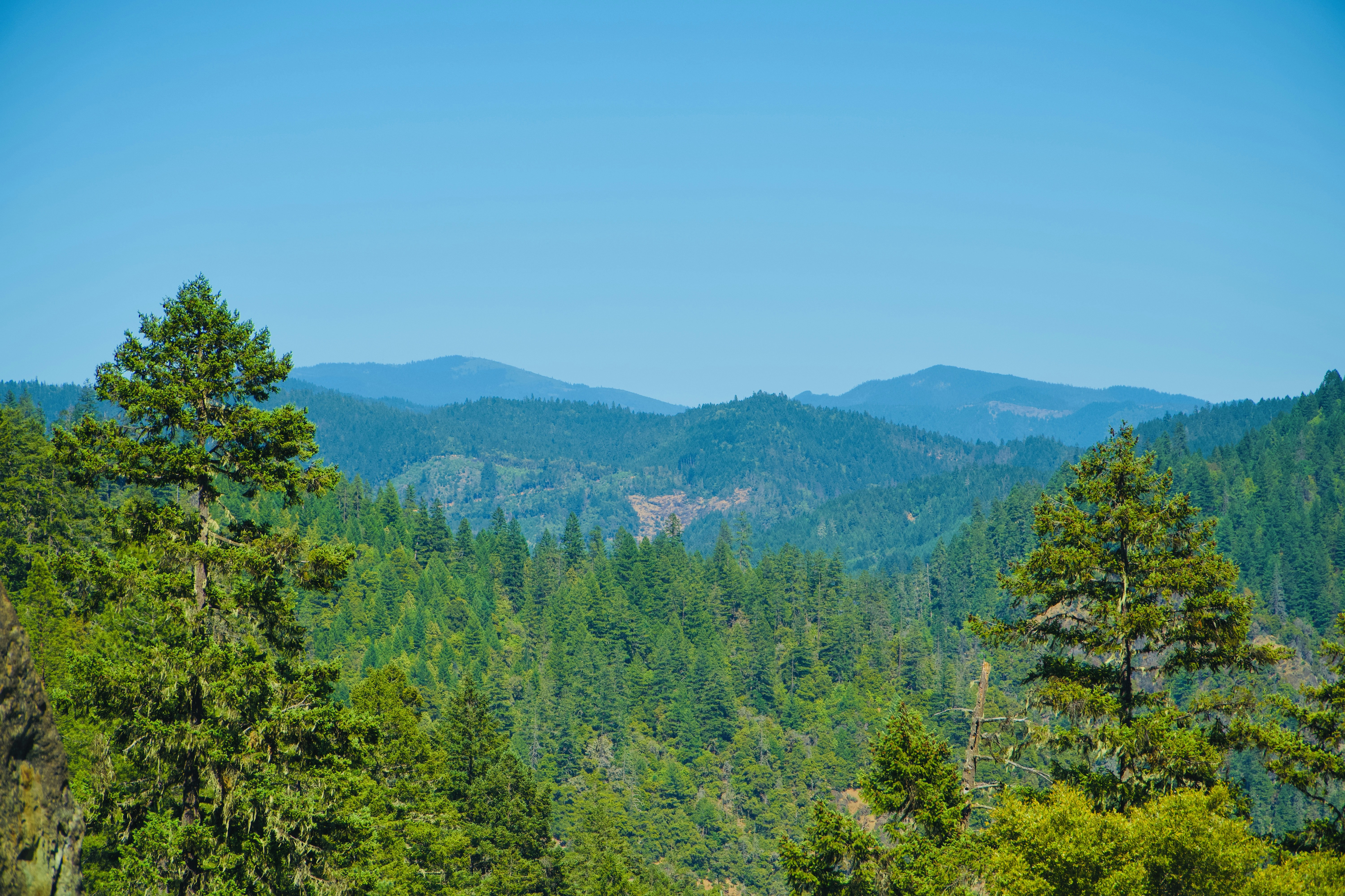 Photo by spencer_demera